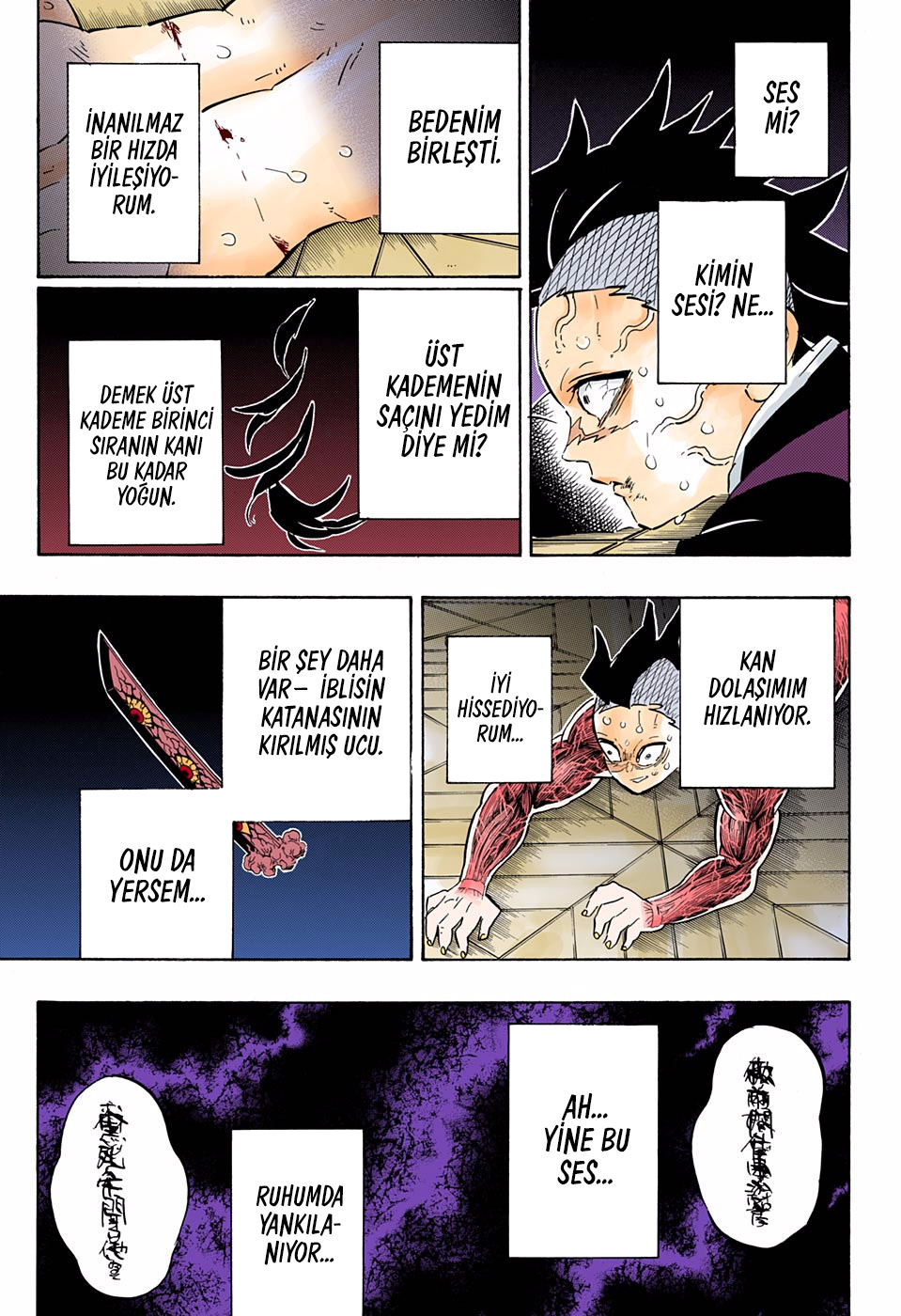 Read Kimetsu no Yaiba TR Manga Online