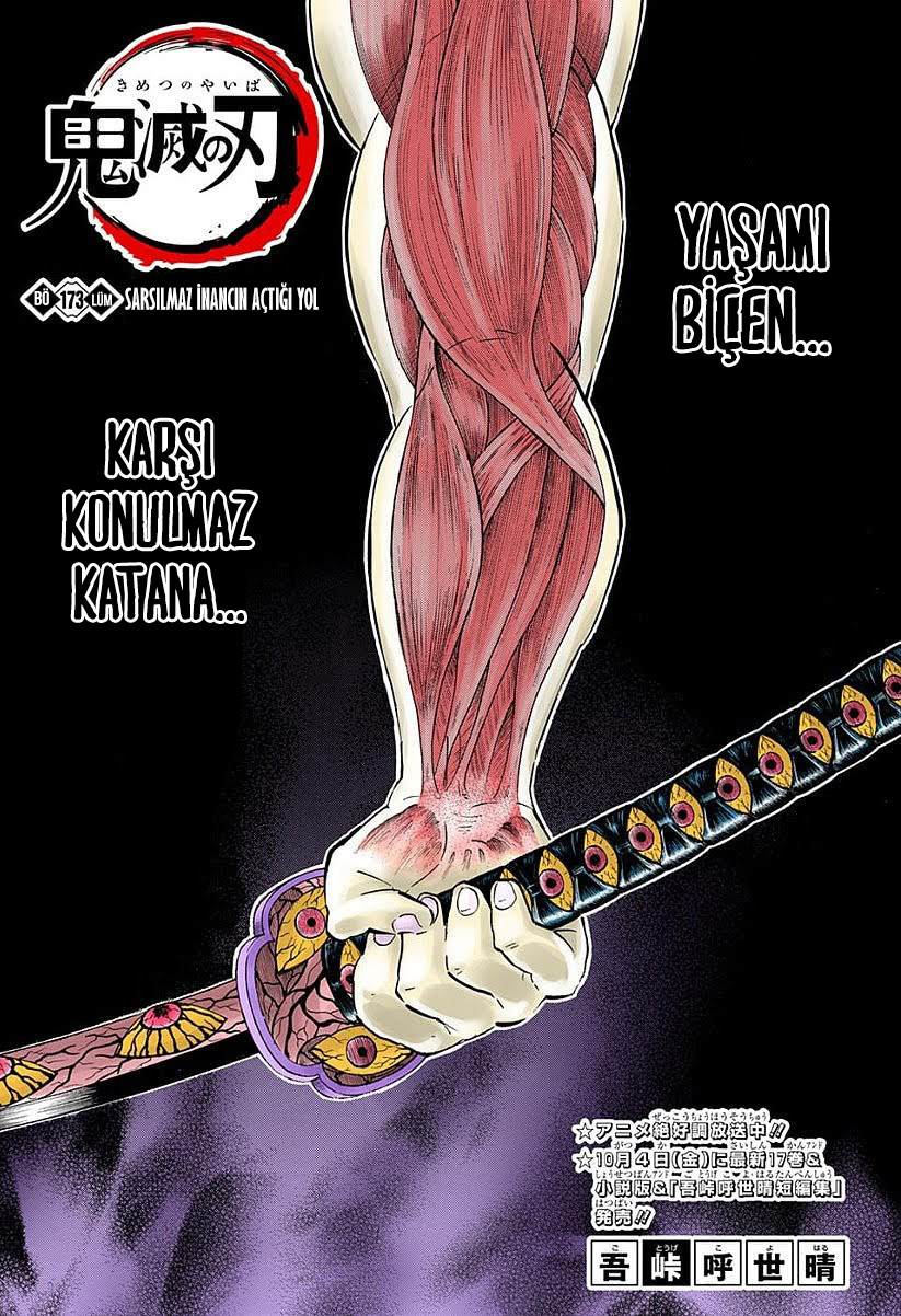 Read Kimetsu no Yaiba TR Manga Online