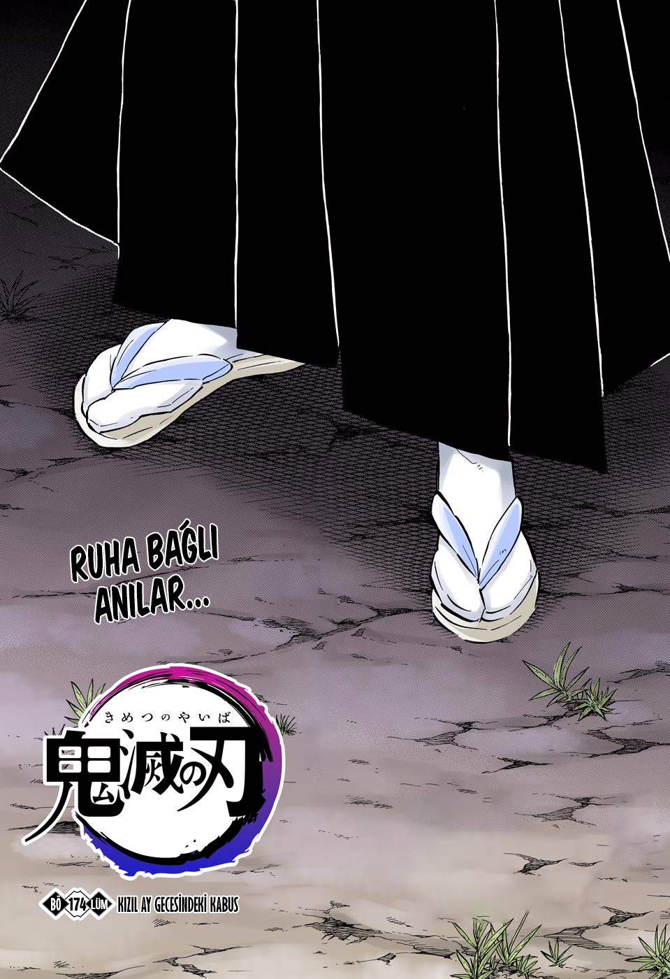 Read Kimetsu no Yaiba TR Manga Online
