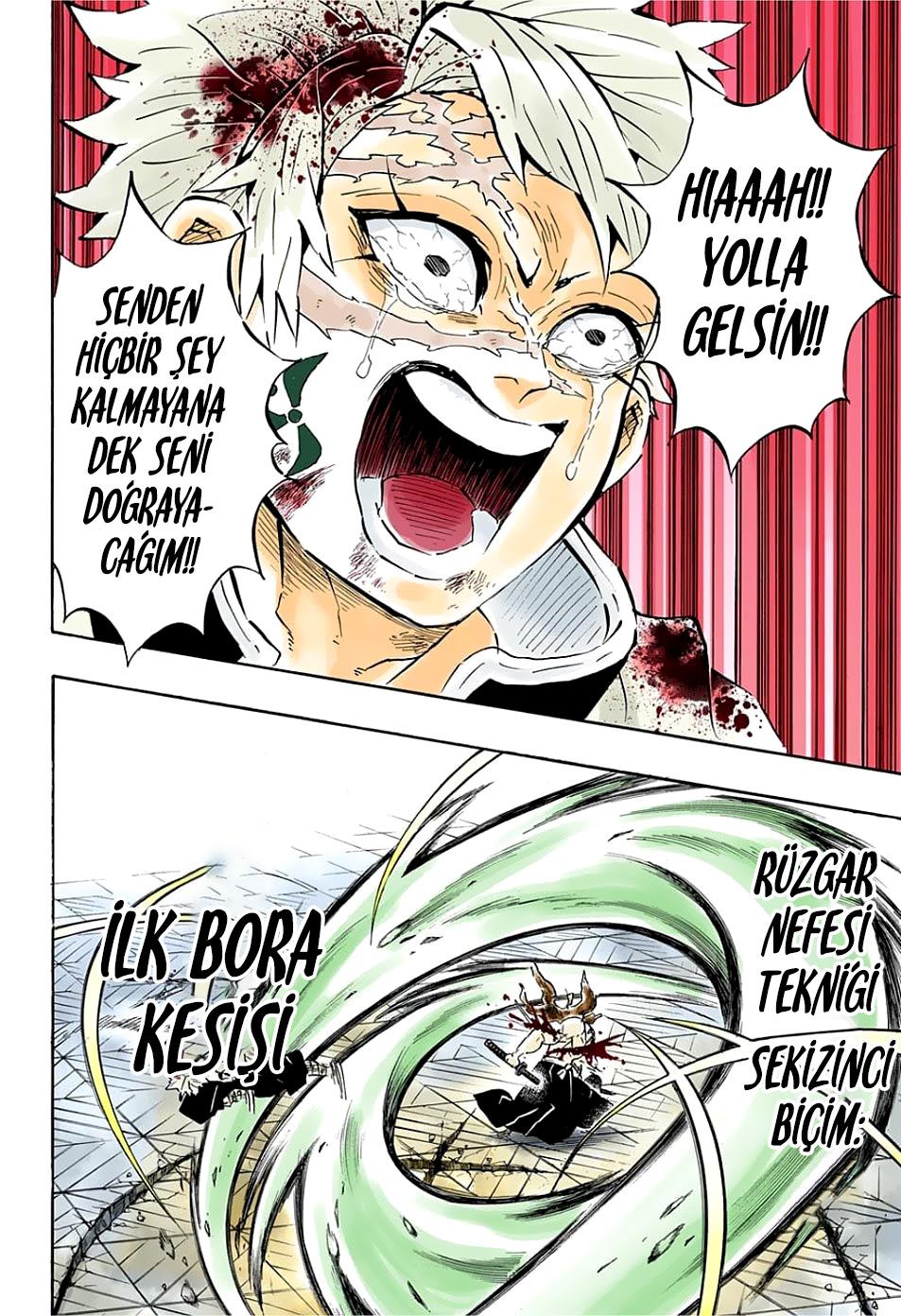 Read Kimetsu no Yaiba TR Manga Online