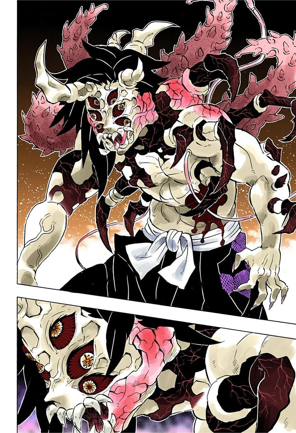 Read Kimetsu no Yaiba TR Manga Online