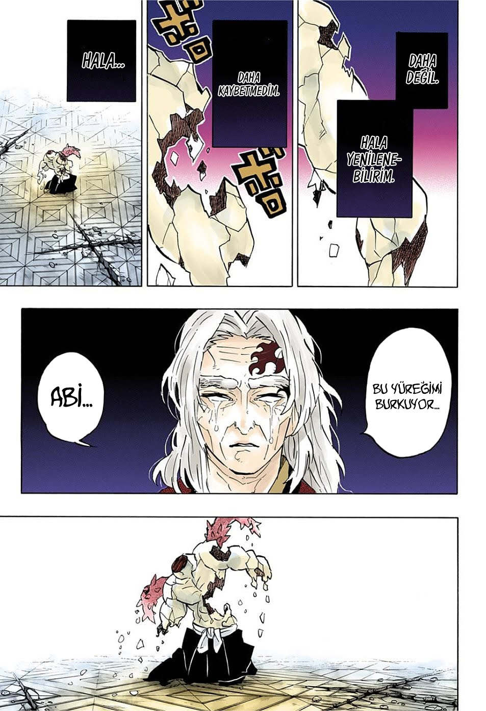 Read Kimetsu no Yaiba TR Manga Online