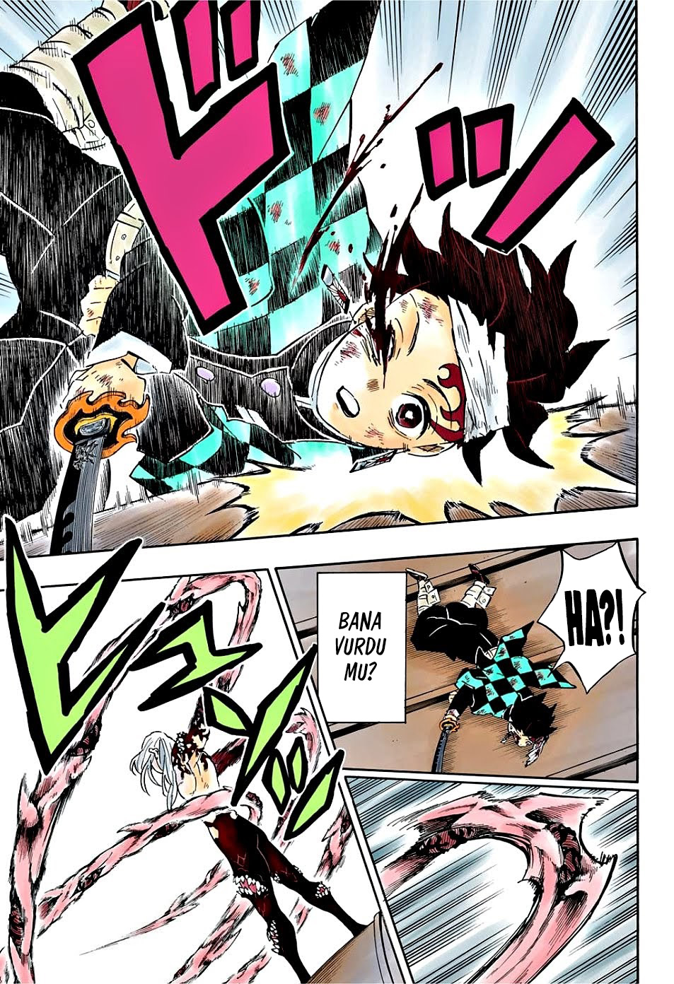 Read Kimetsu no Yaiba TR Manga Online
