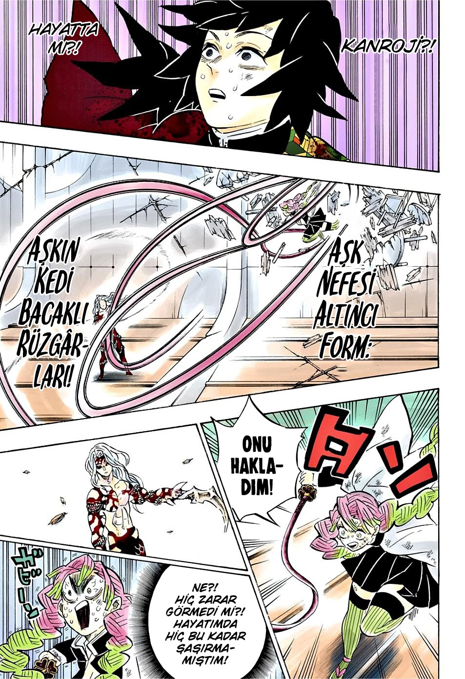 Read Kimetsu no Yaiba TR Manga Online