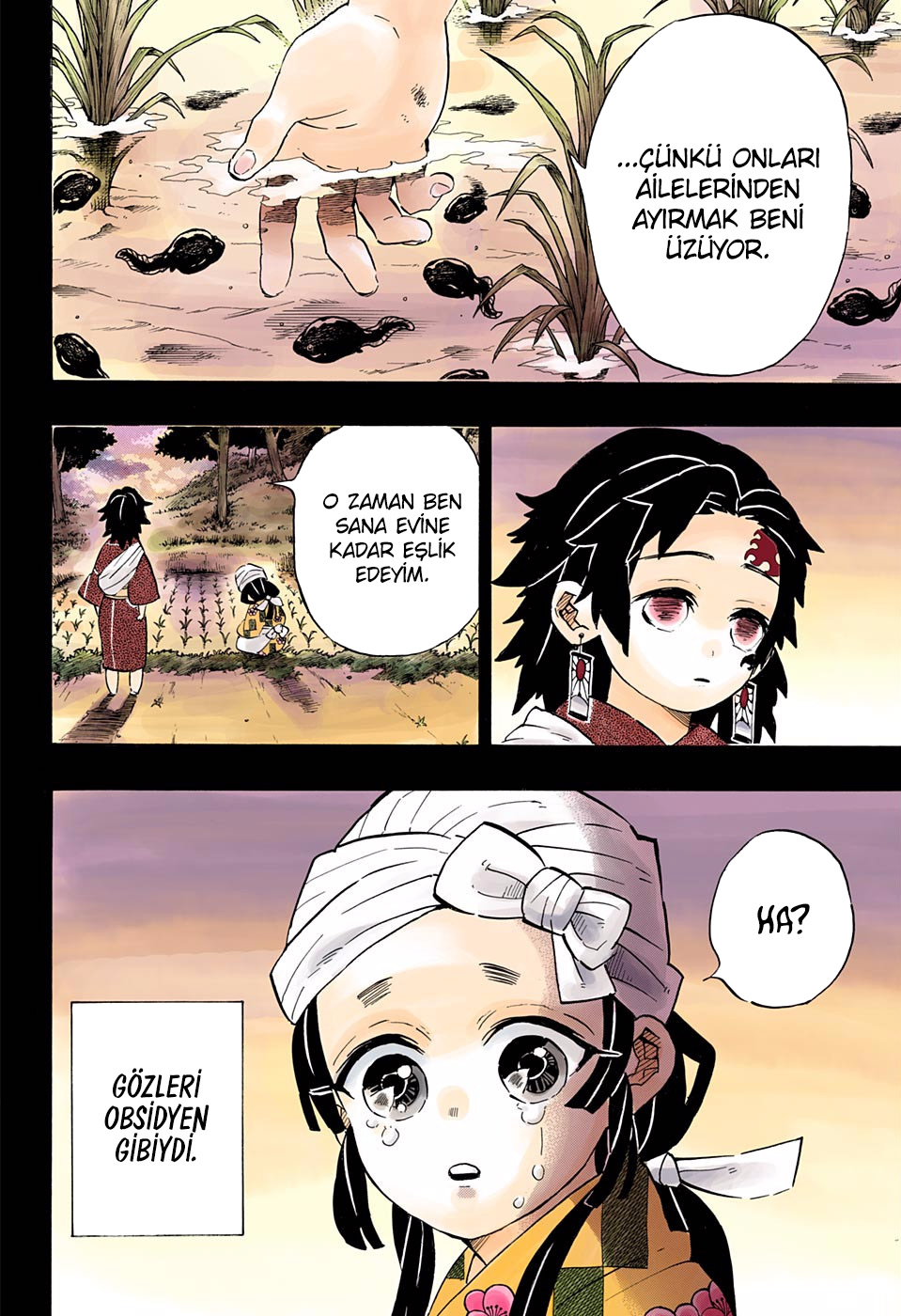 Read Kimetsu no Yaiba TR Manga Online