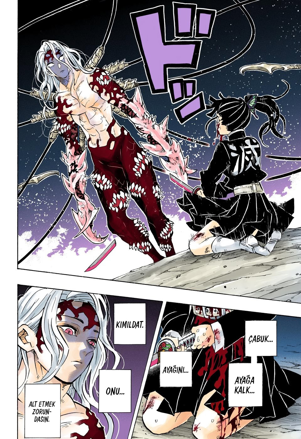 Read Kimetsu no Yaiba TR Manga Online