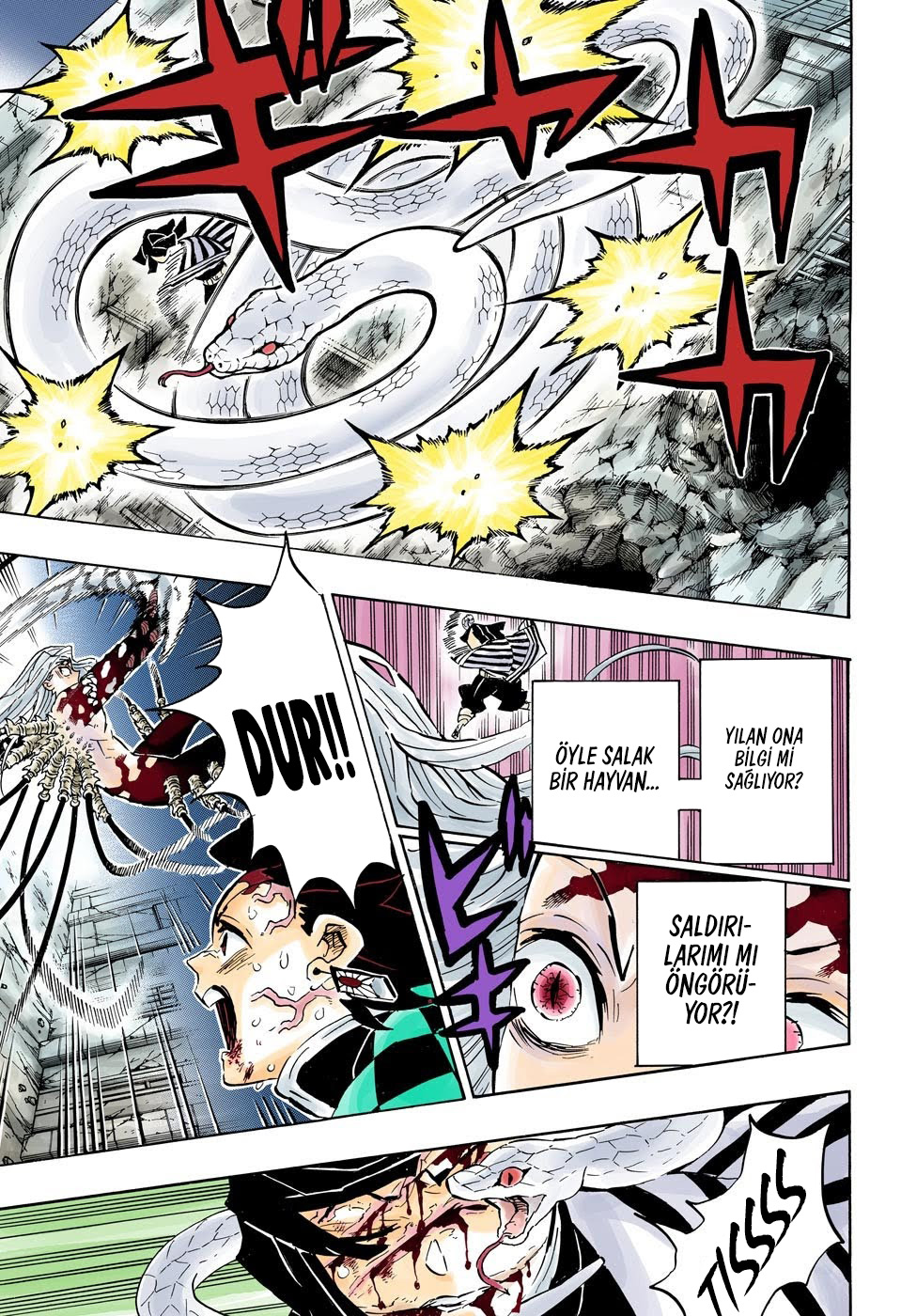 Read Kimetsu no Yaiba TR Manga Online