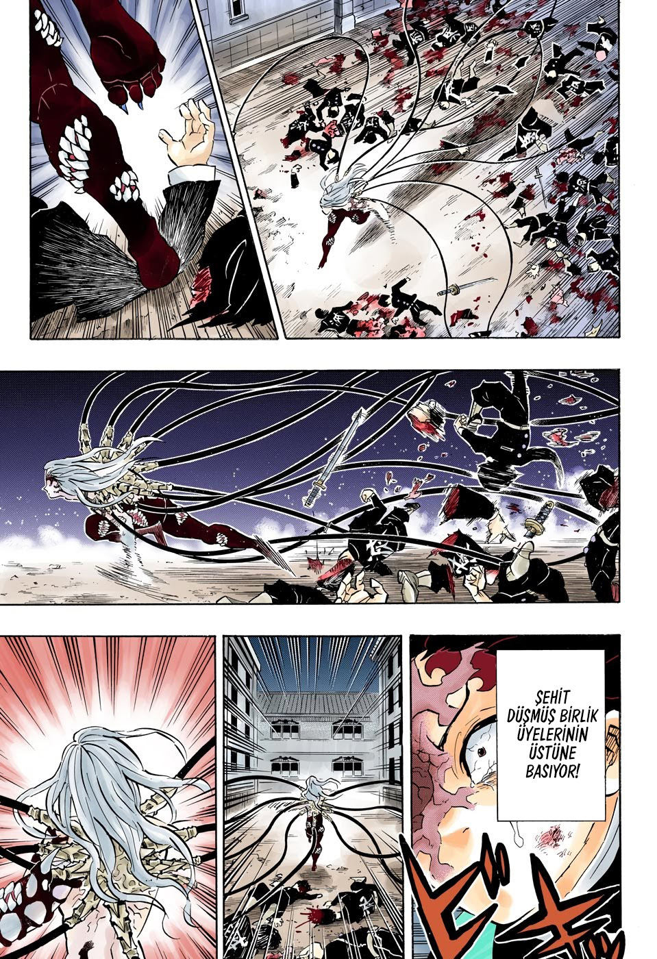 Read Kimetsu no Yaiba TR Manga Online