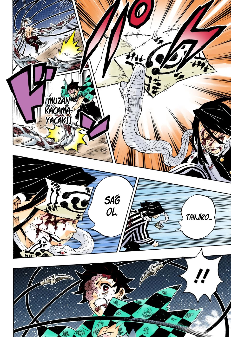 Read Kimetsu no Yaiba TR Manga Online