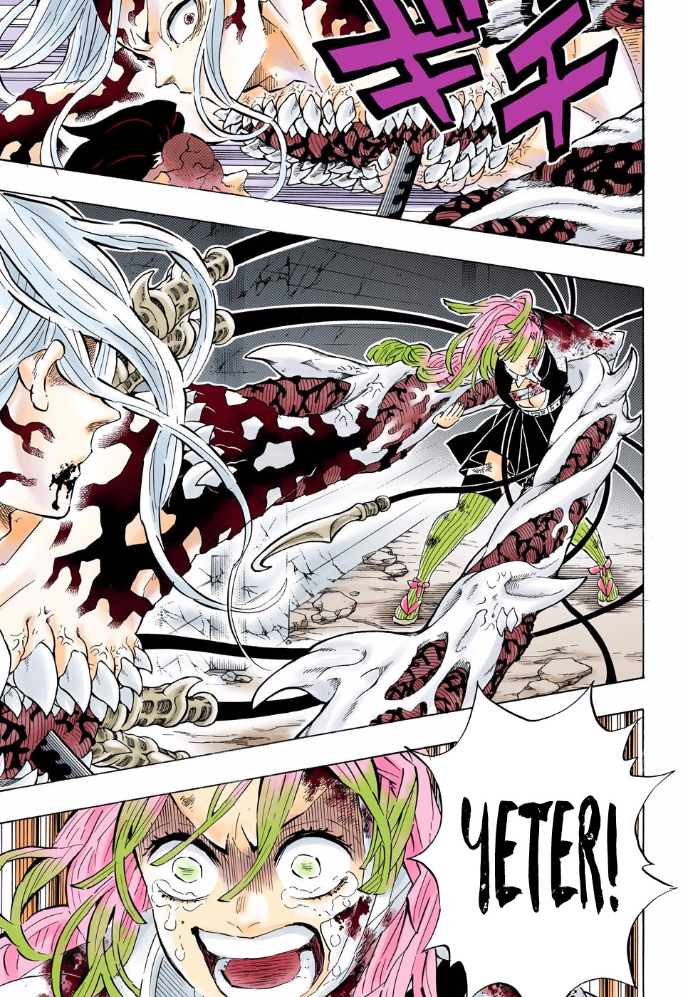 Read Kimetsu no Yaiba TR Manga Online