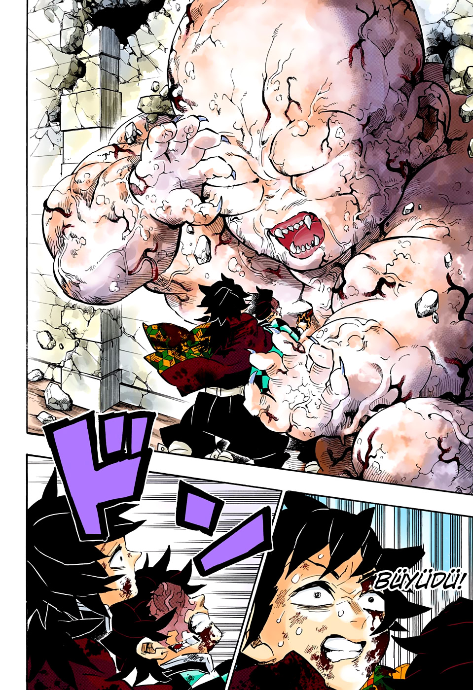 Read Kimetsu no Yaiba TR Manga Online