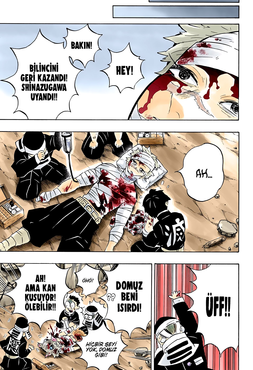 Read Kimetsu no Yaiba TR Manga Online