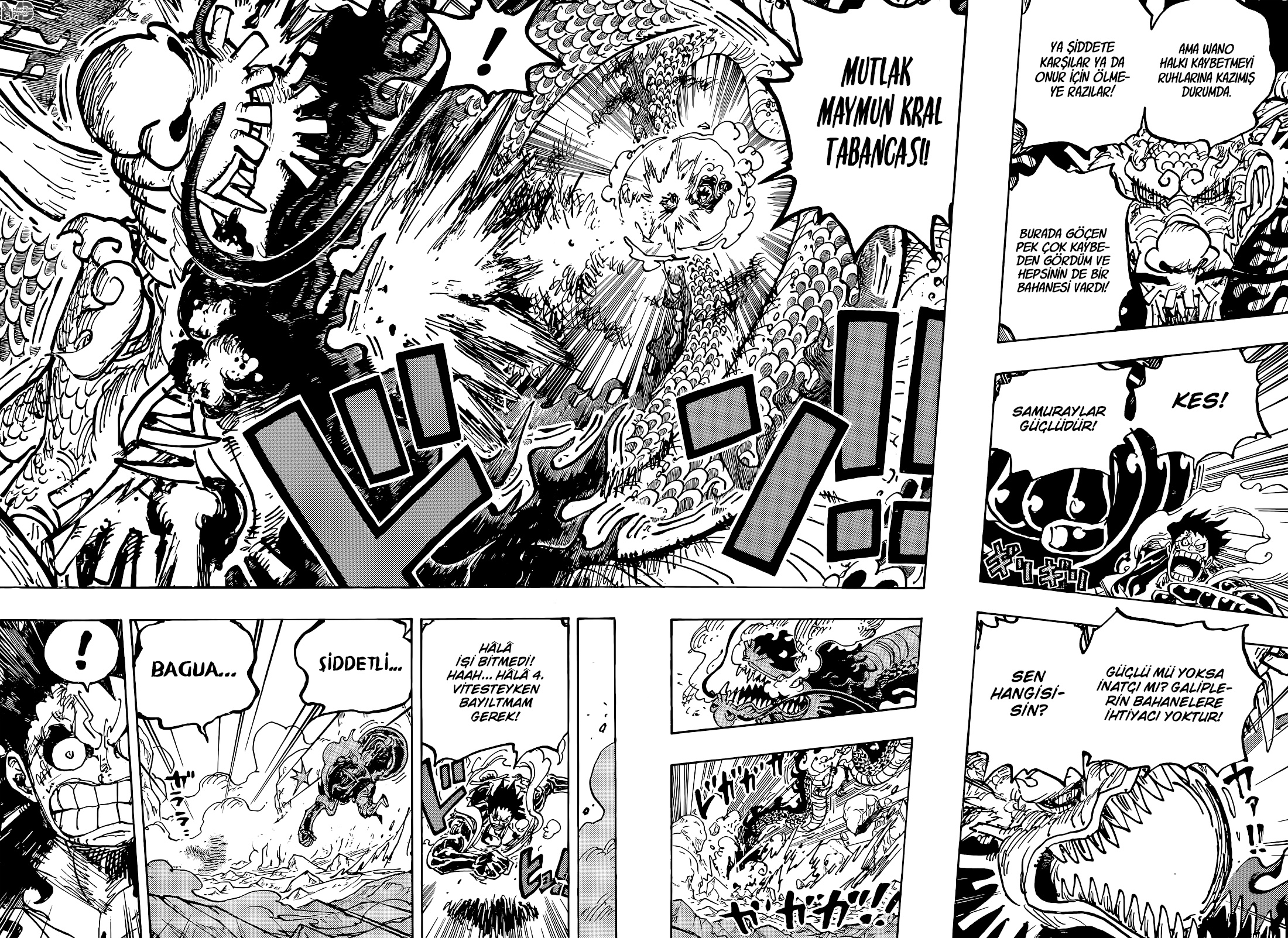 Read One Piece TR Manga Online