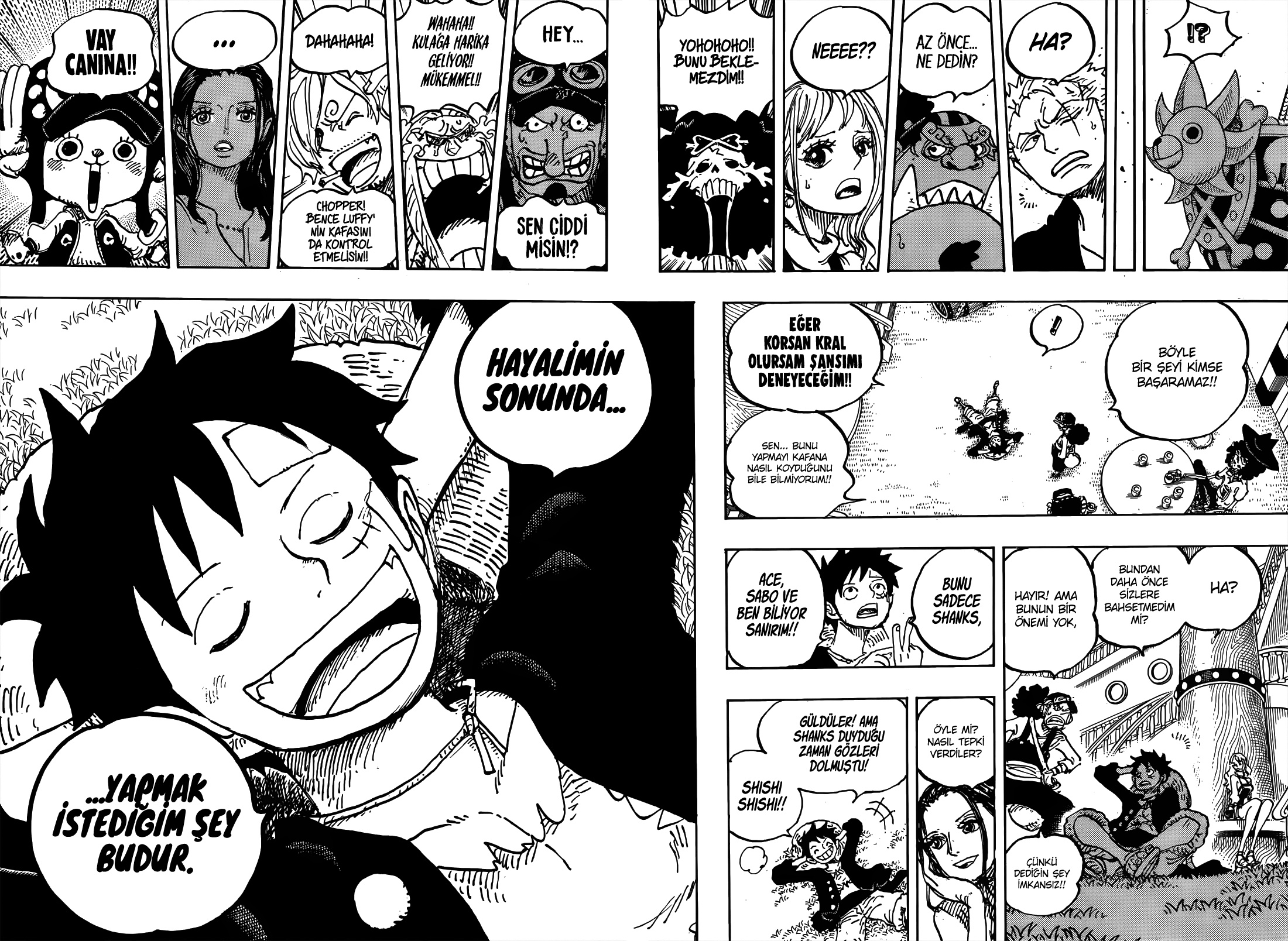 Read One Piece TR Manga Online