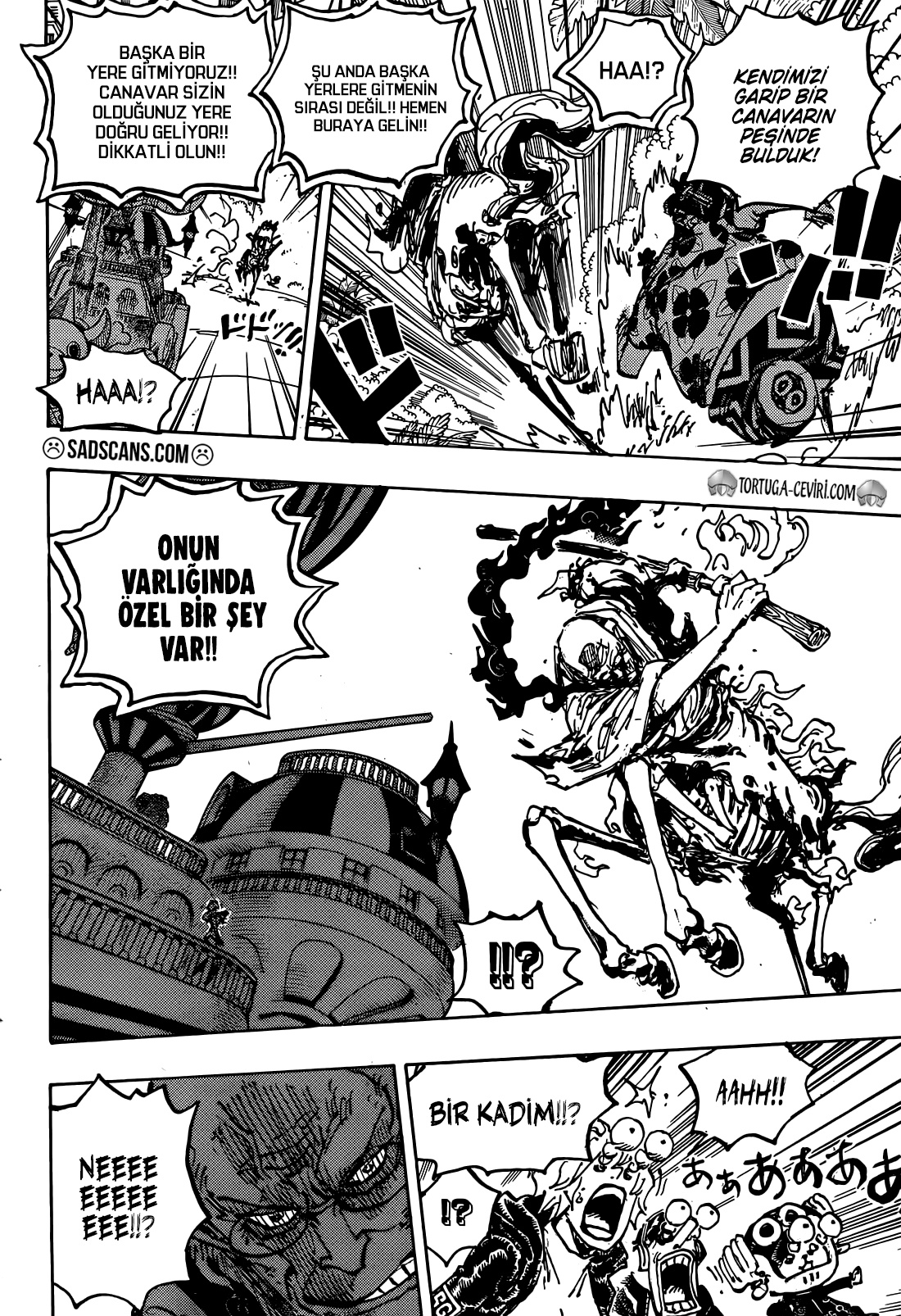 Read One Piece TR Manga Online