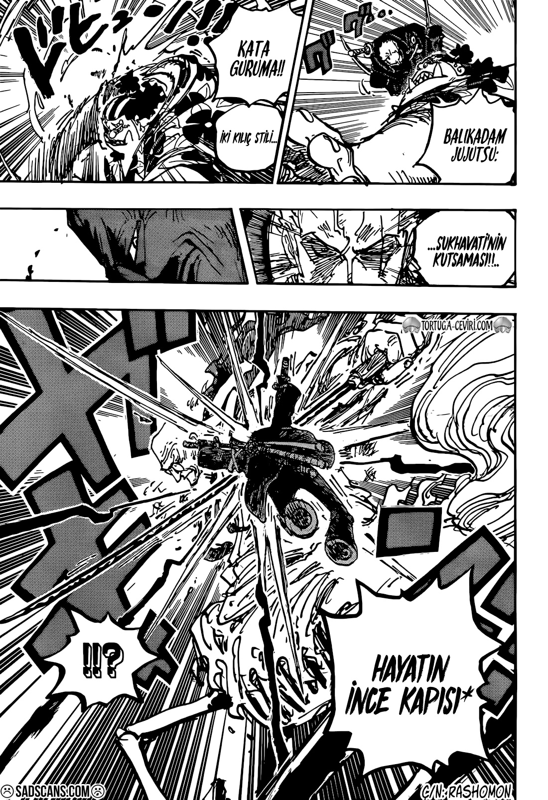 Read One Piece TR Manga Online