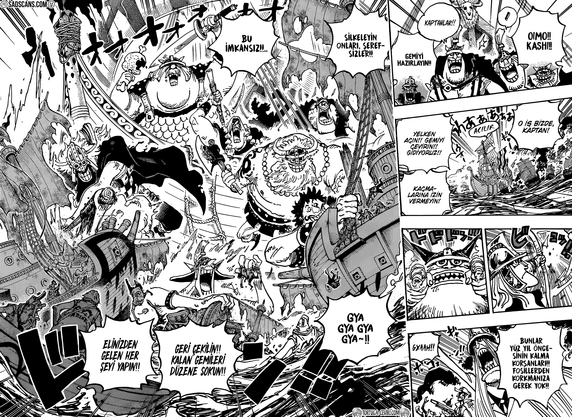 Read One Piece TR Manga Online