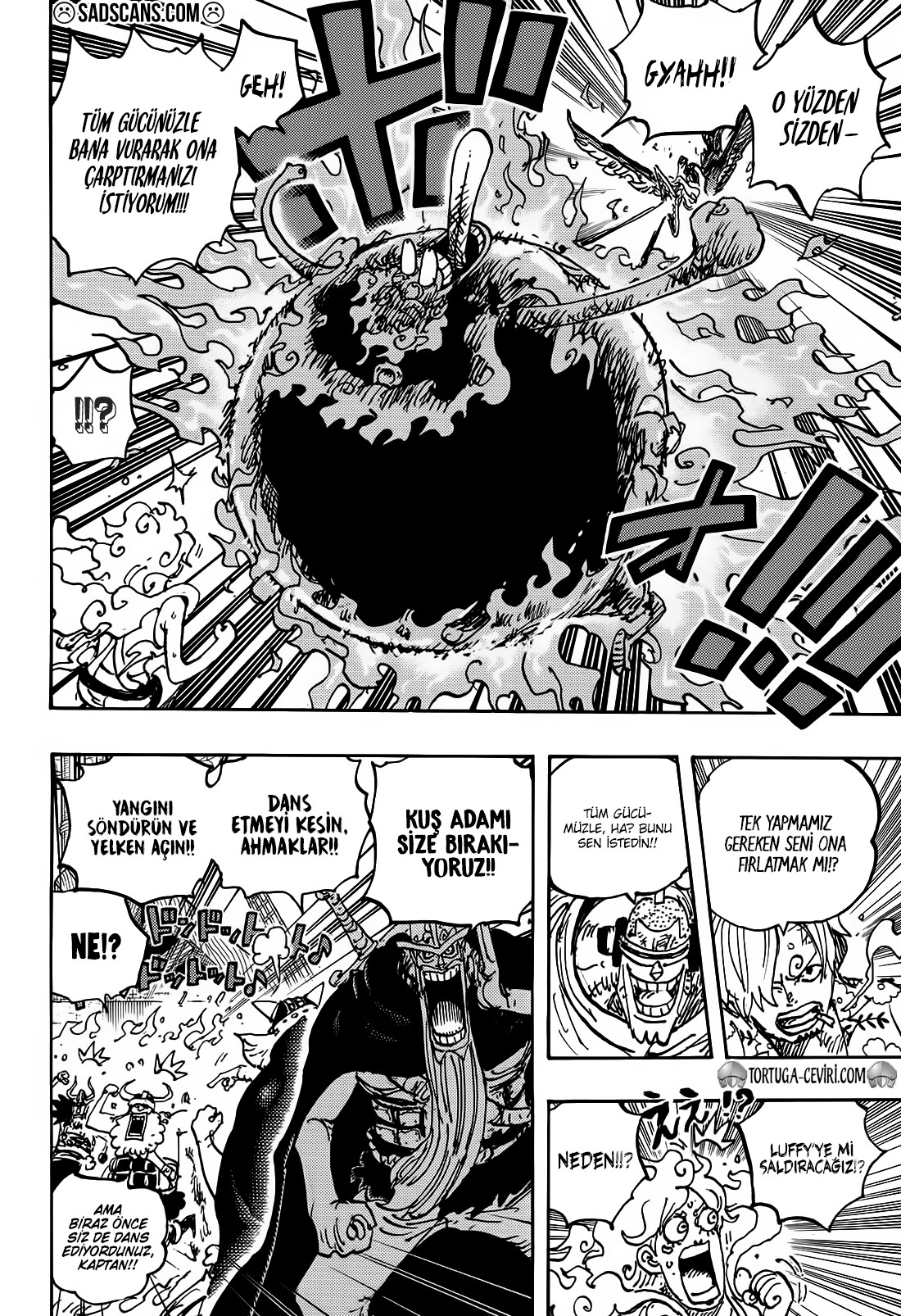 Read One Piece TR Manga Online