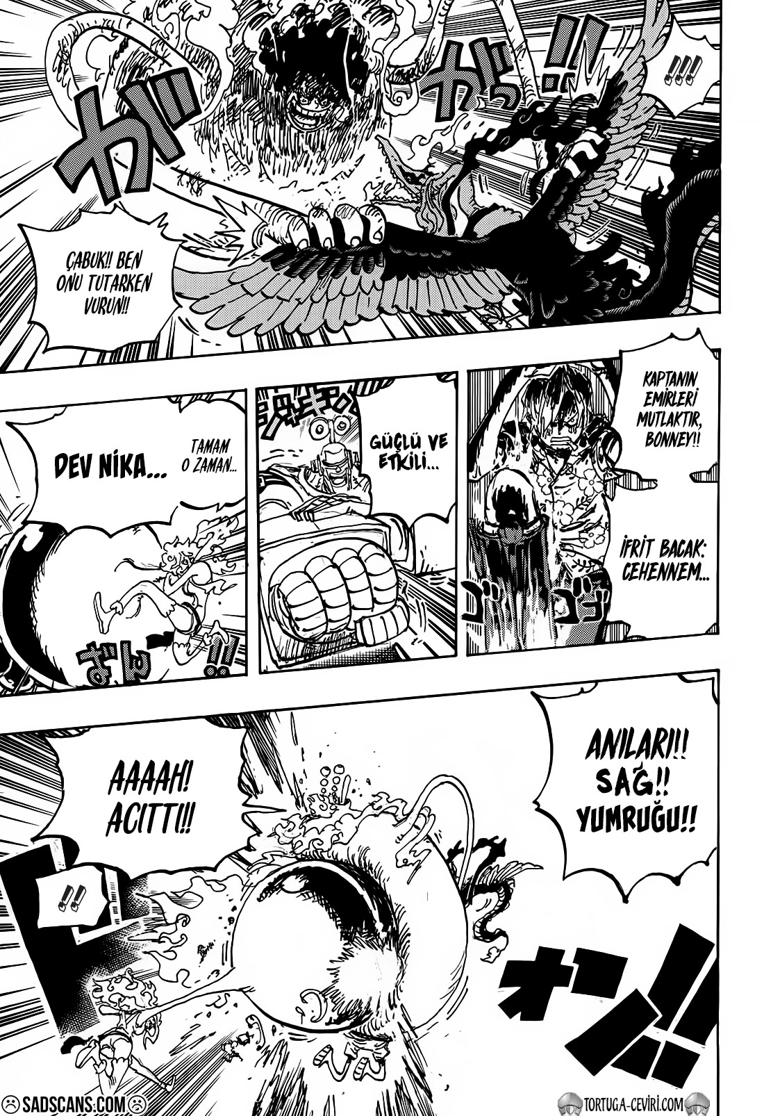 Read One Piece TR Manga Online