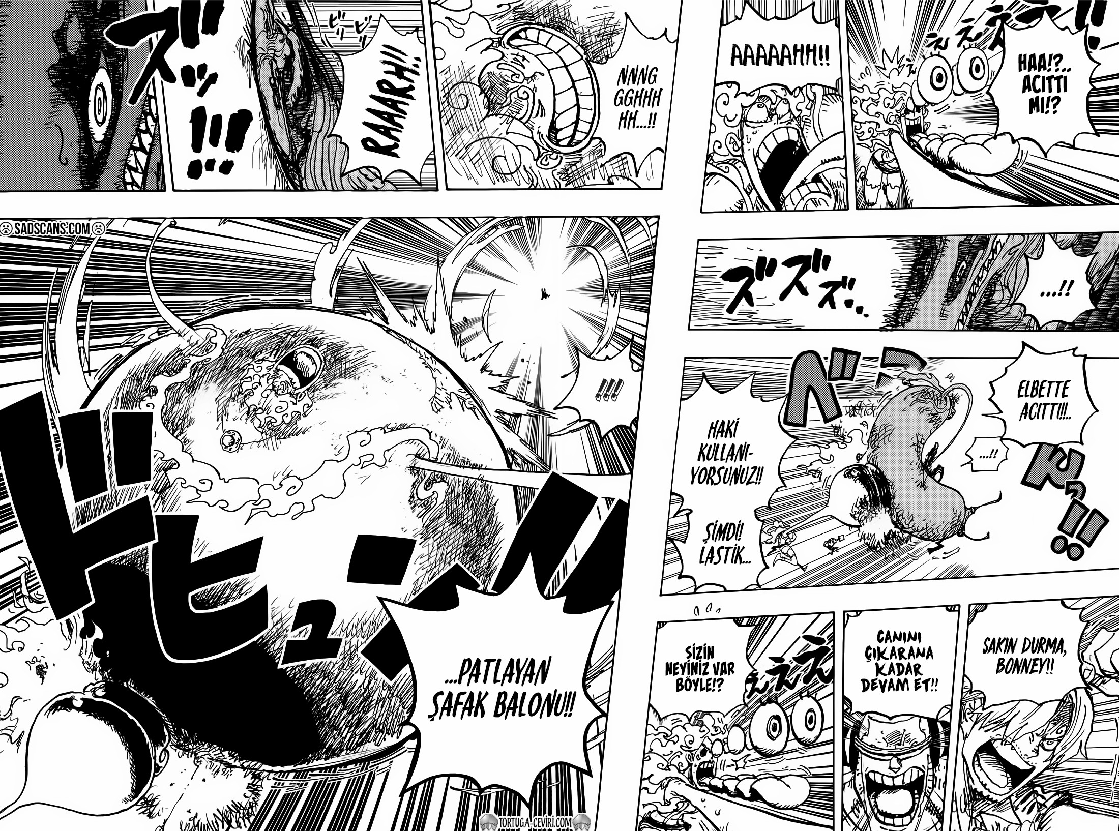 Read One Piece TR Manga Online