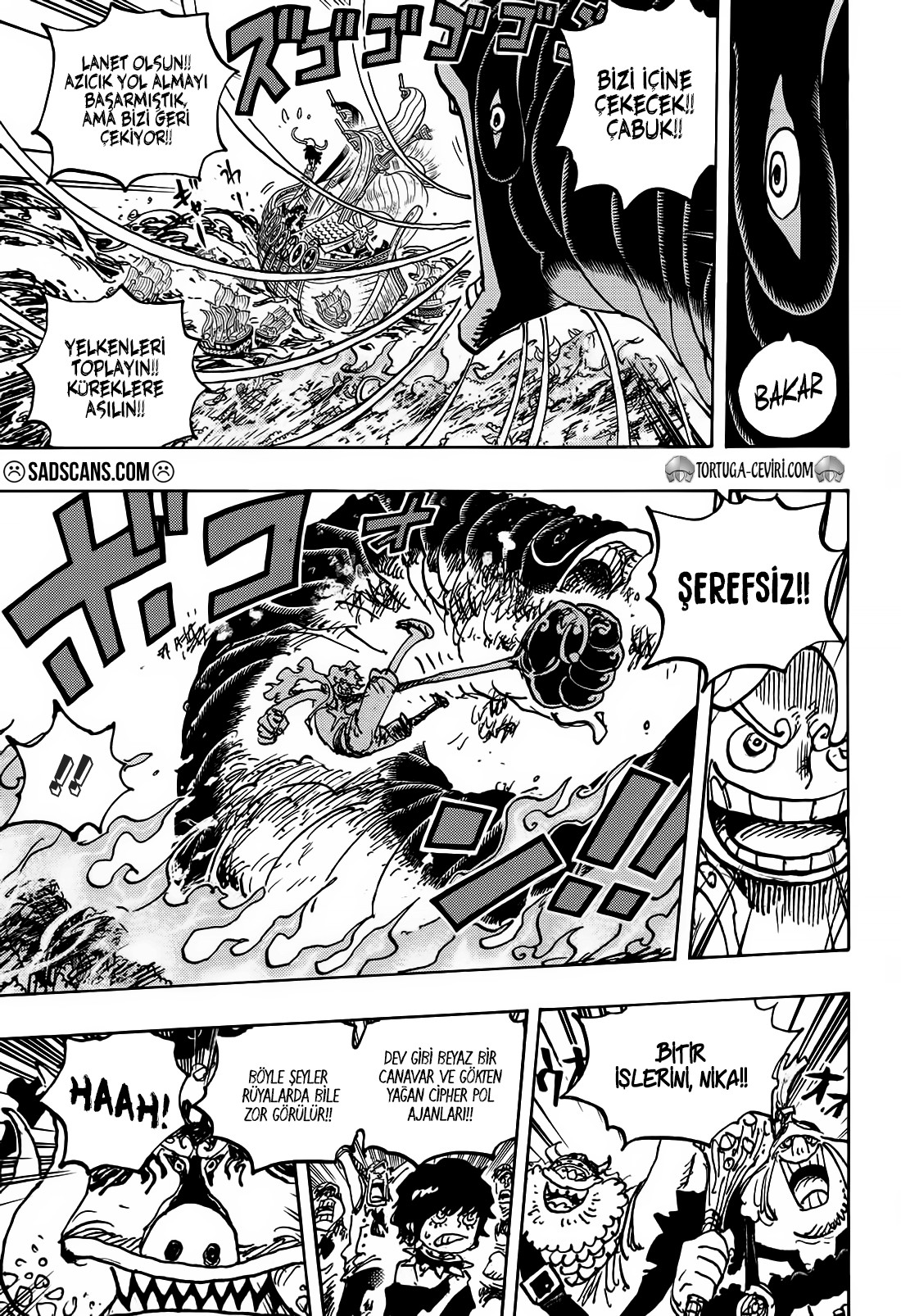 Read One Piece TR Manga Online
