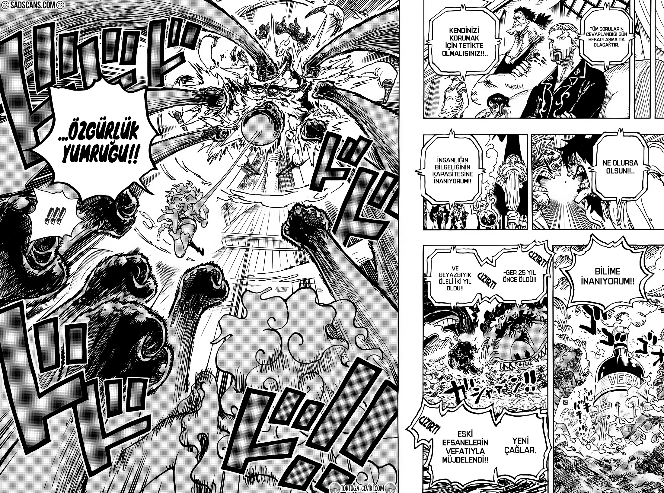 Read One Piece TR Manga Online