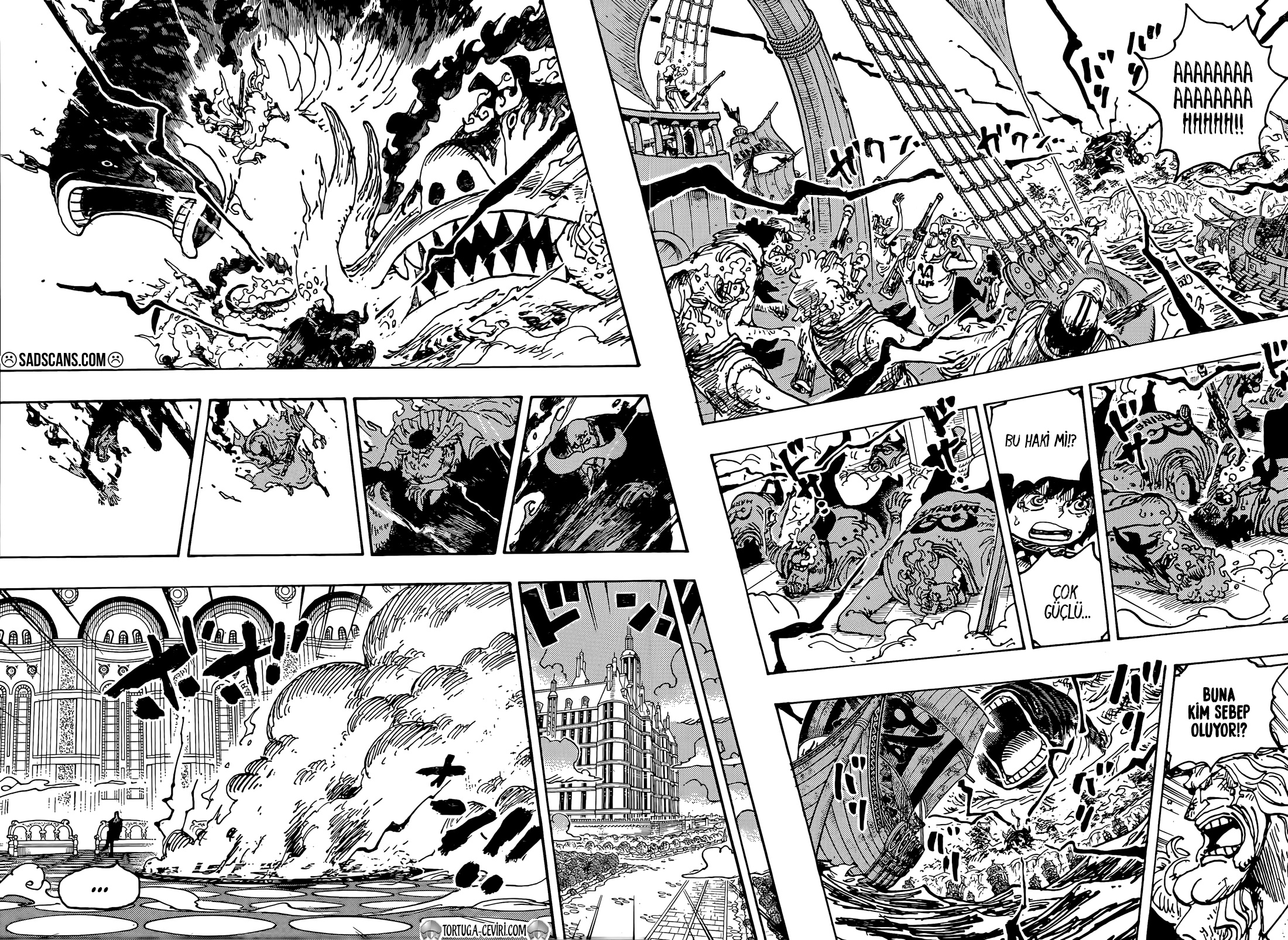 Read One Piece TR Manga Online