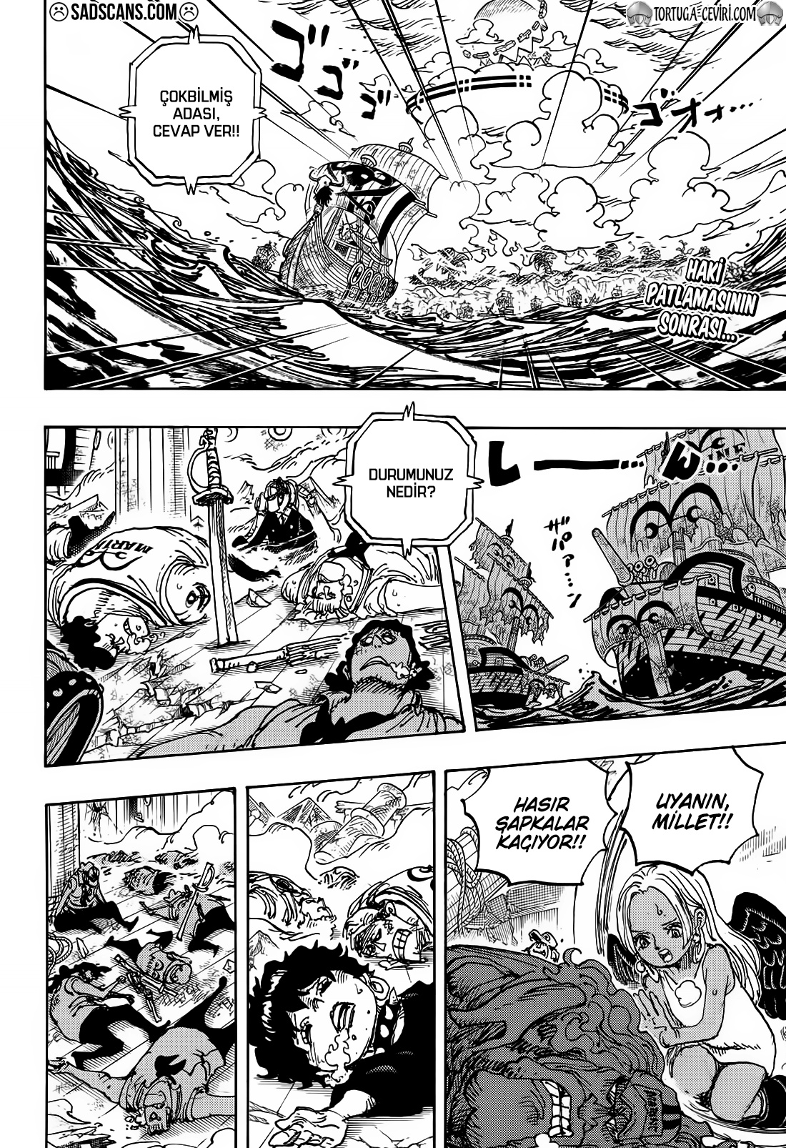 Read One Piece TR Manga Online