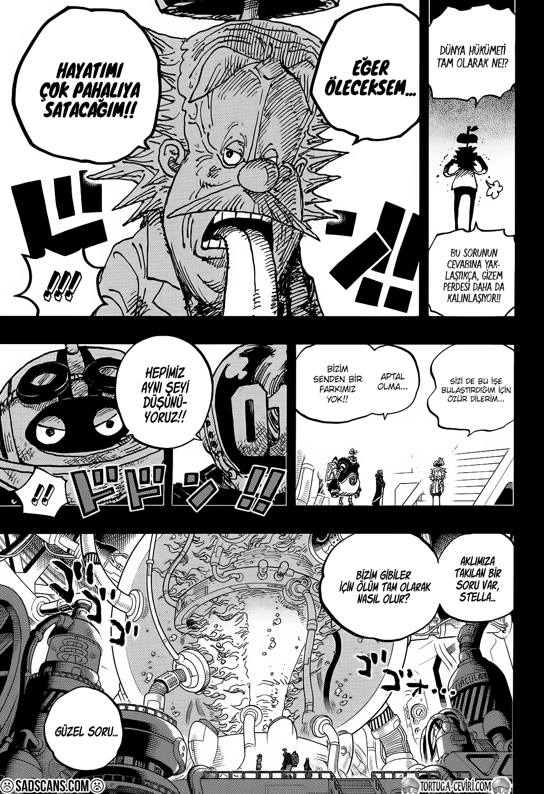 Read One Piece TR Manga Online