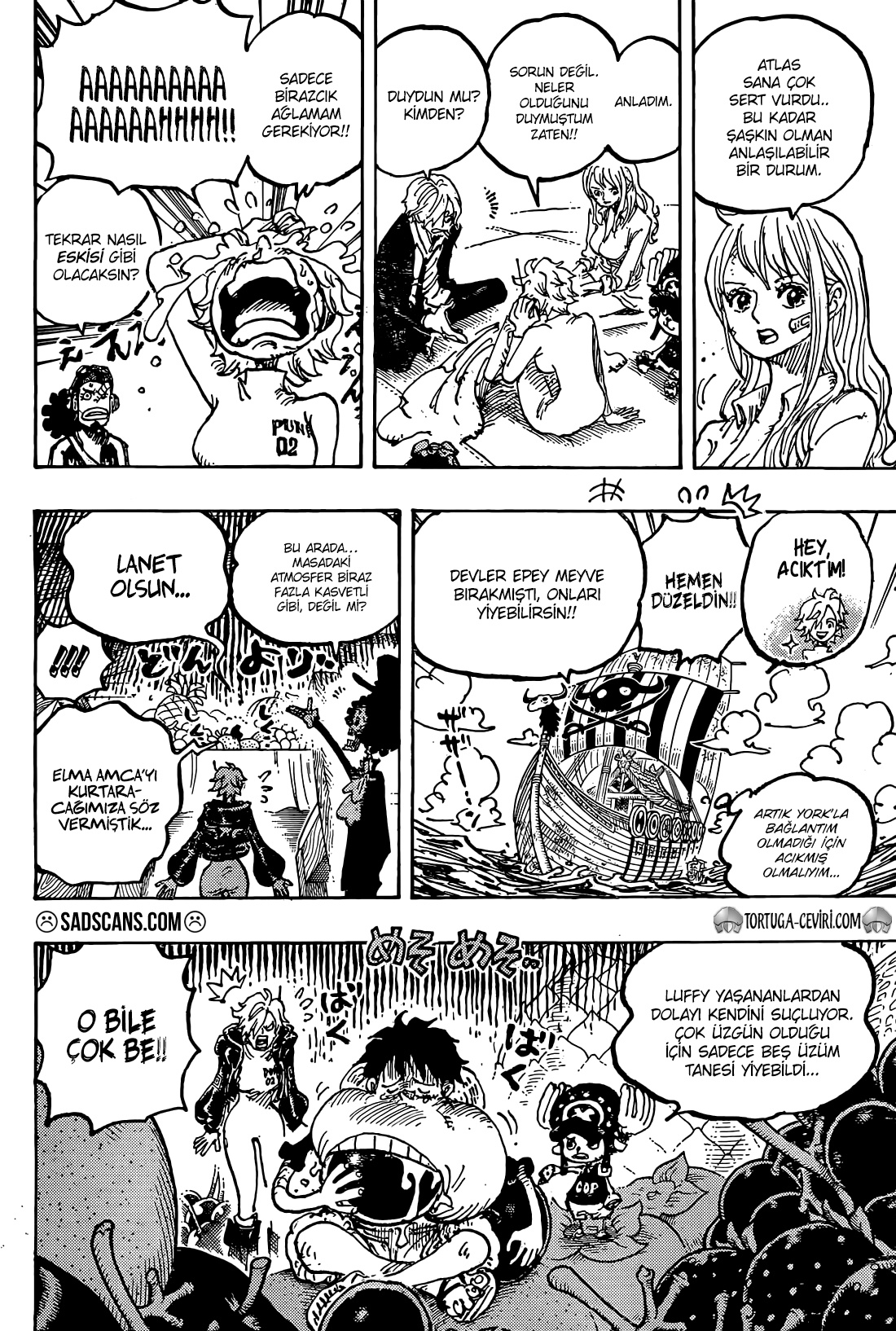 Read One Piece TR Manga Online