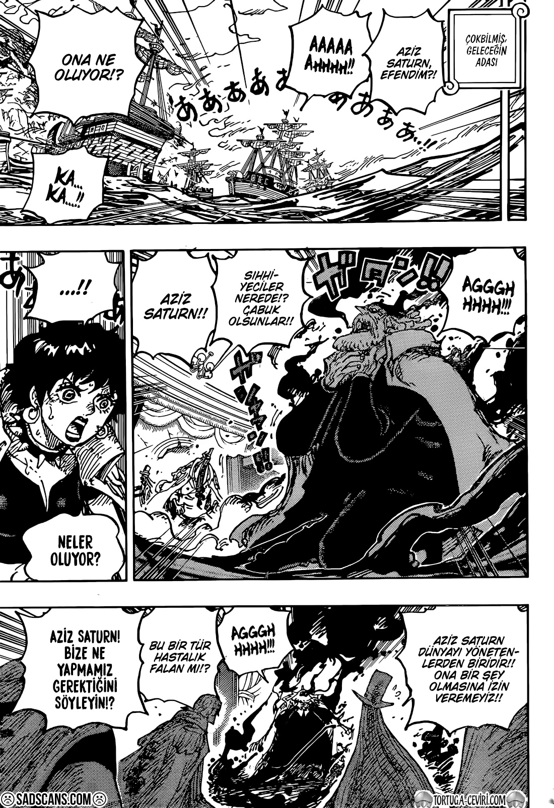 Read One Piece TR Manga Online