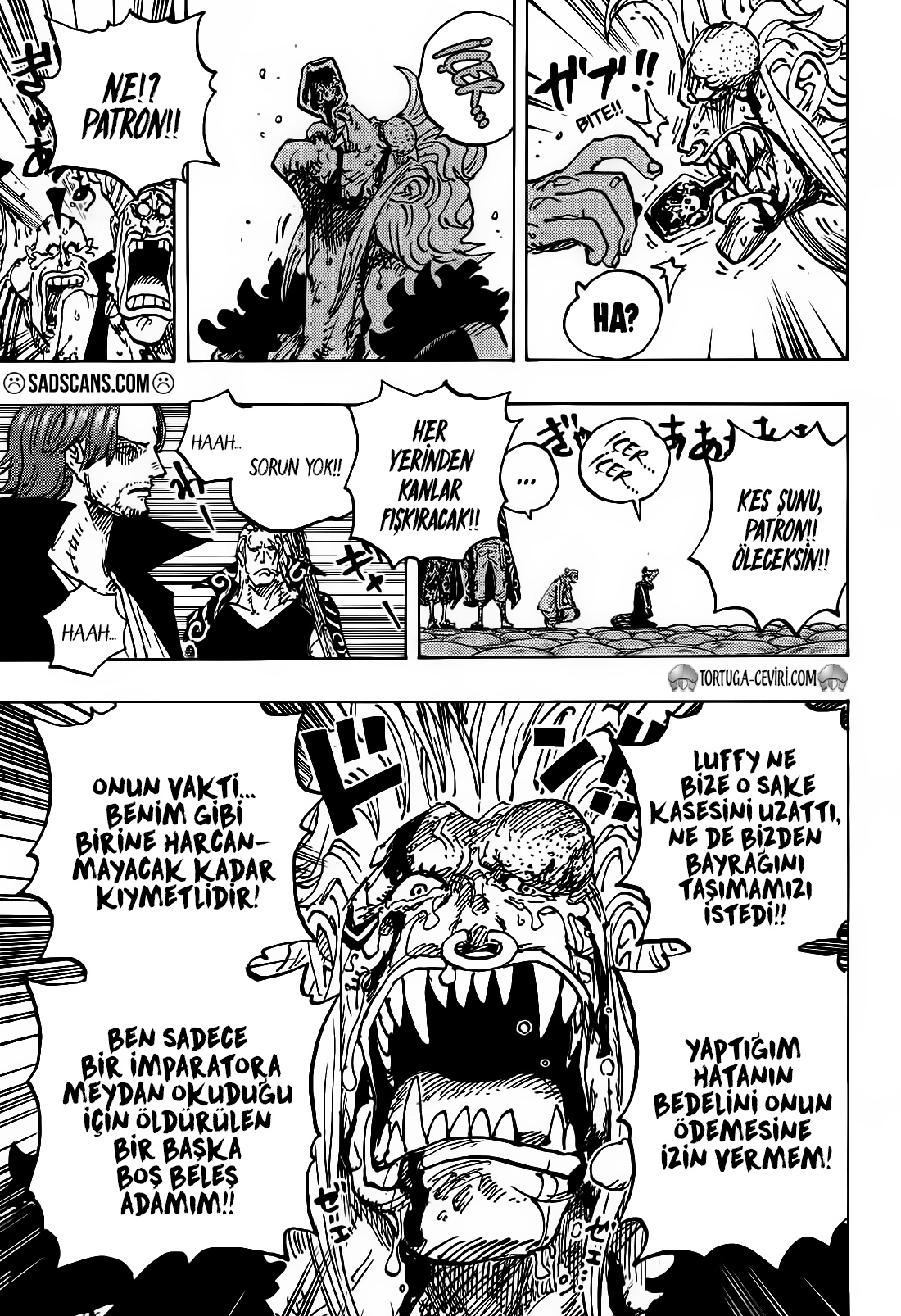 Read One Piece TR Manga Online