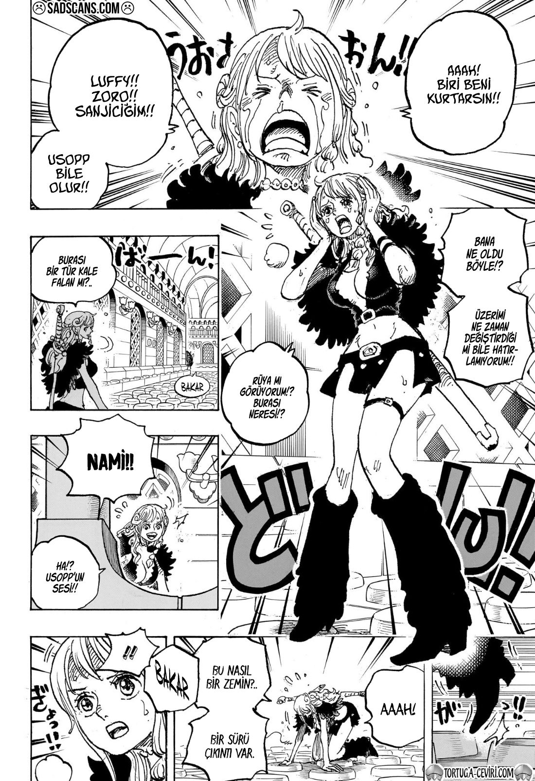 Read One Piece TR Manga Online