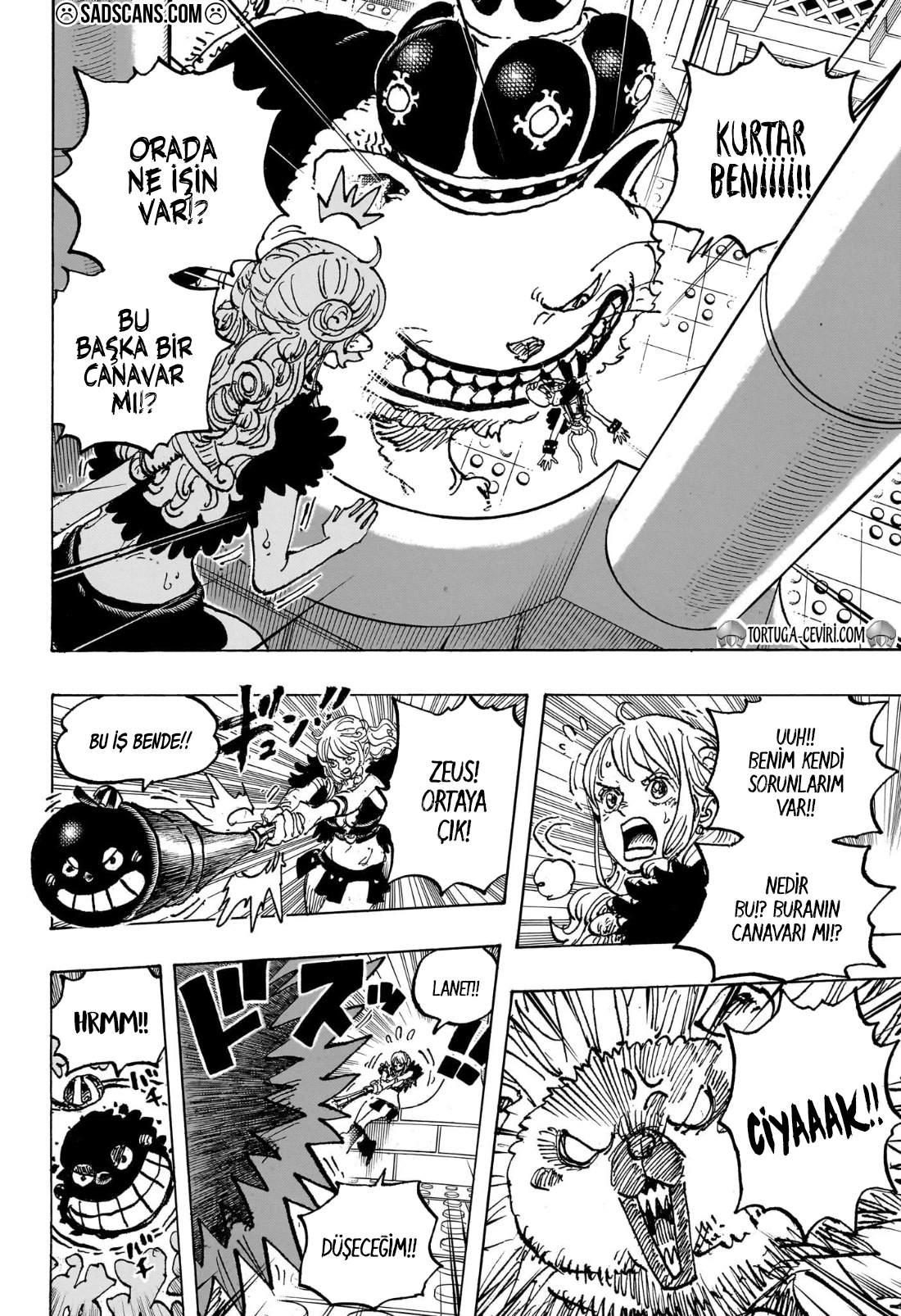 Read One Piece TR Manga Online