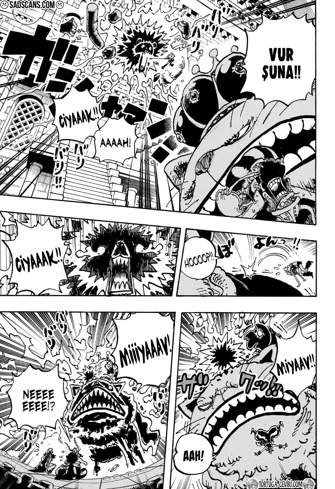 Read One Piece TR Manga Online