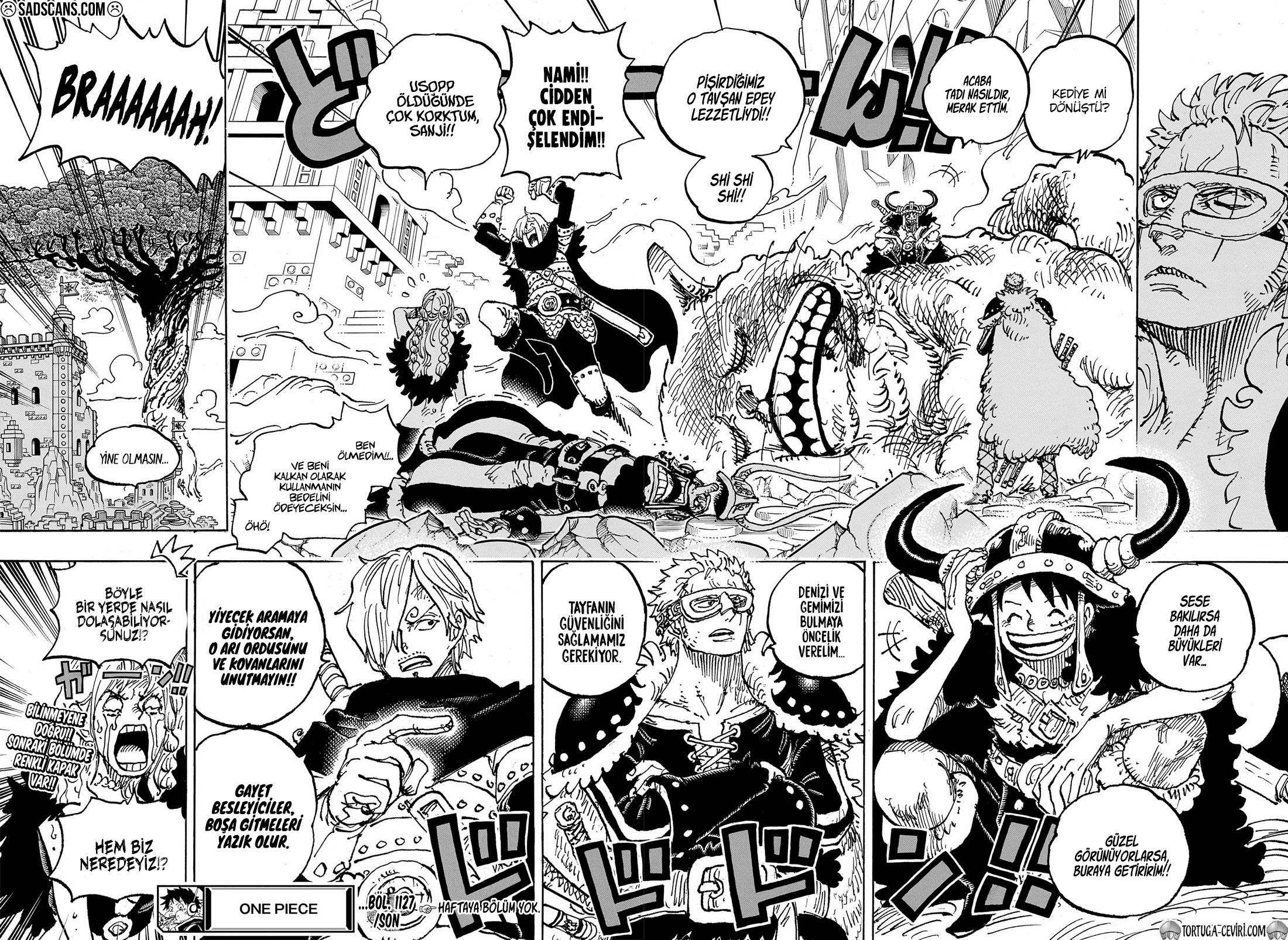 Read One Piece TR Manga Online