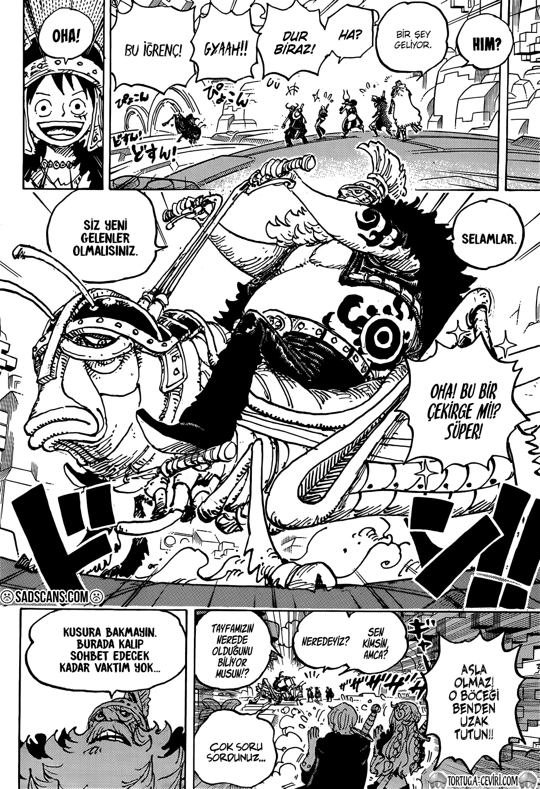 Read One Piece TR Manga Online