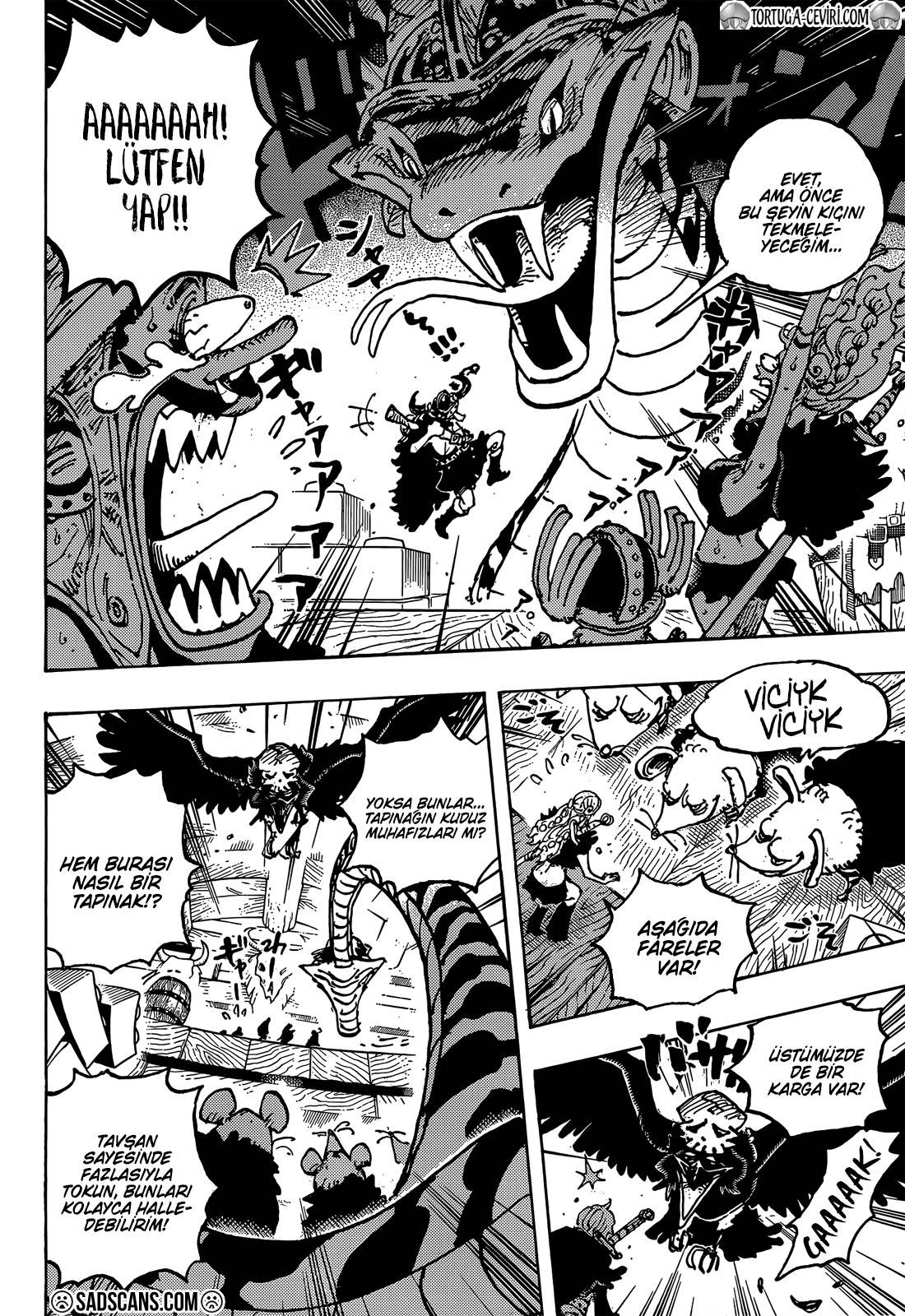 Read One Piece TR Manga Online
