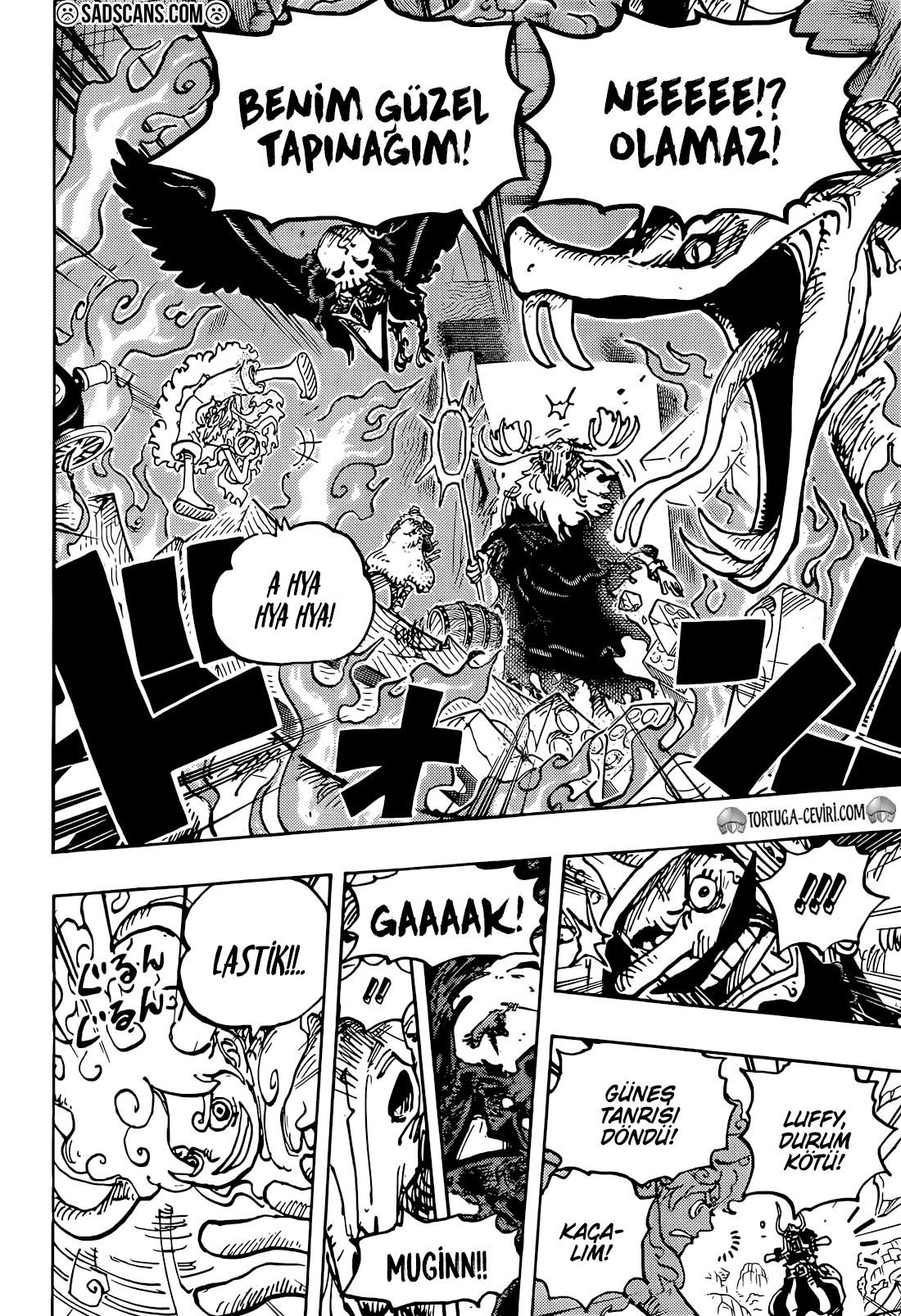 Read One Piece TR Manga Online