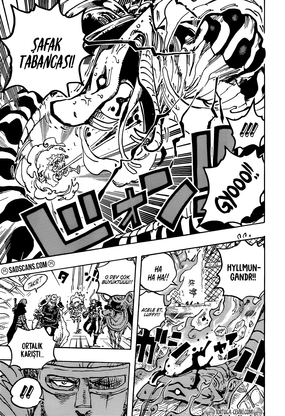 Read One Piece TR Manga Online