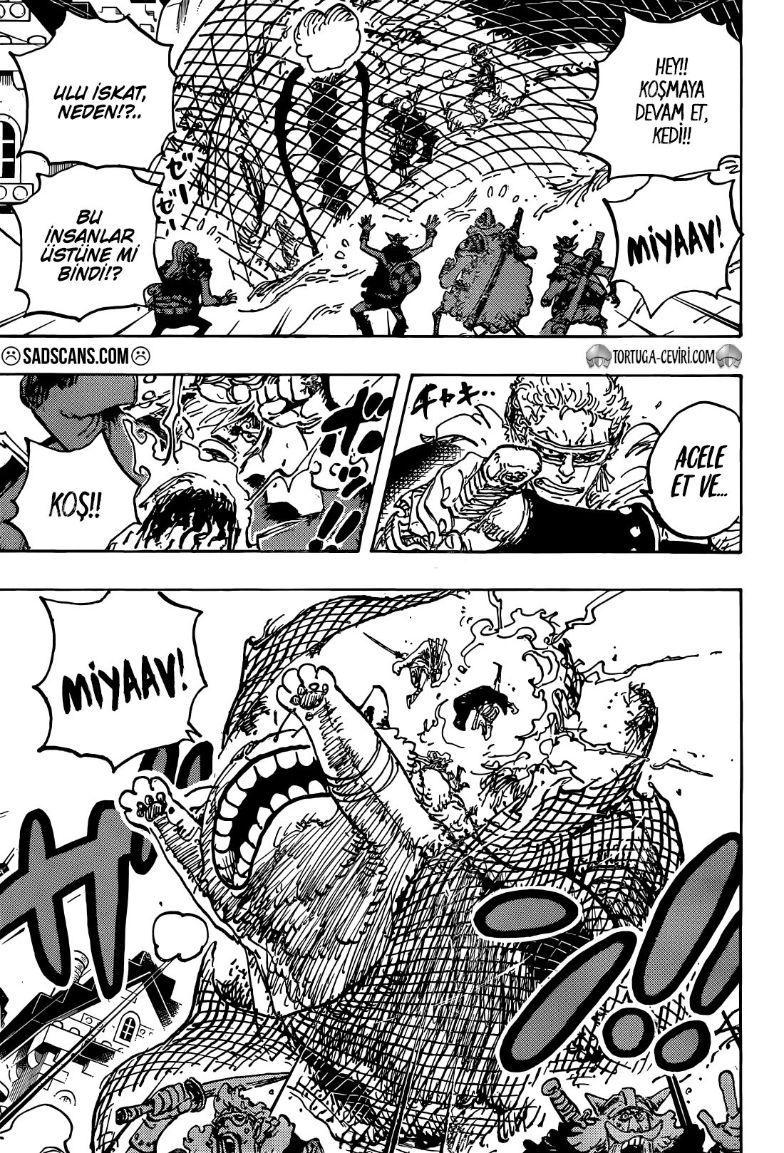 Read One Piece TR Manga Online