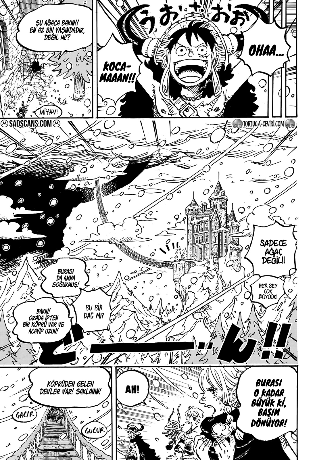 Read One Piece TR Manga Online