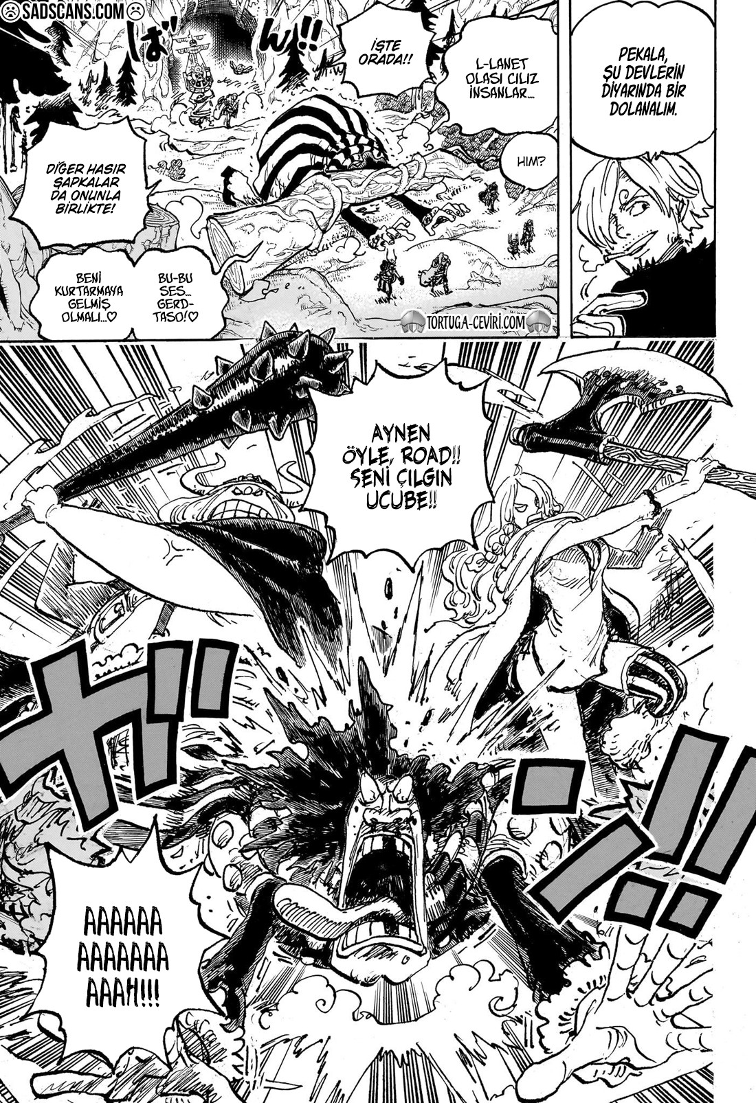 Read One Piece TR Manga Online