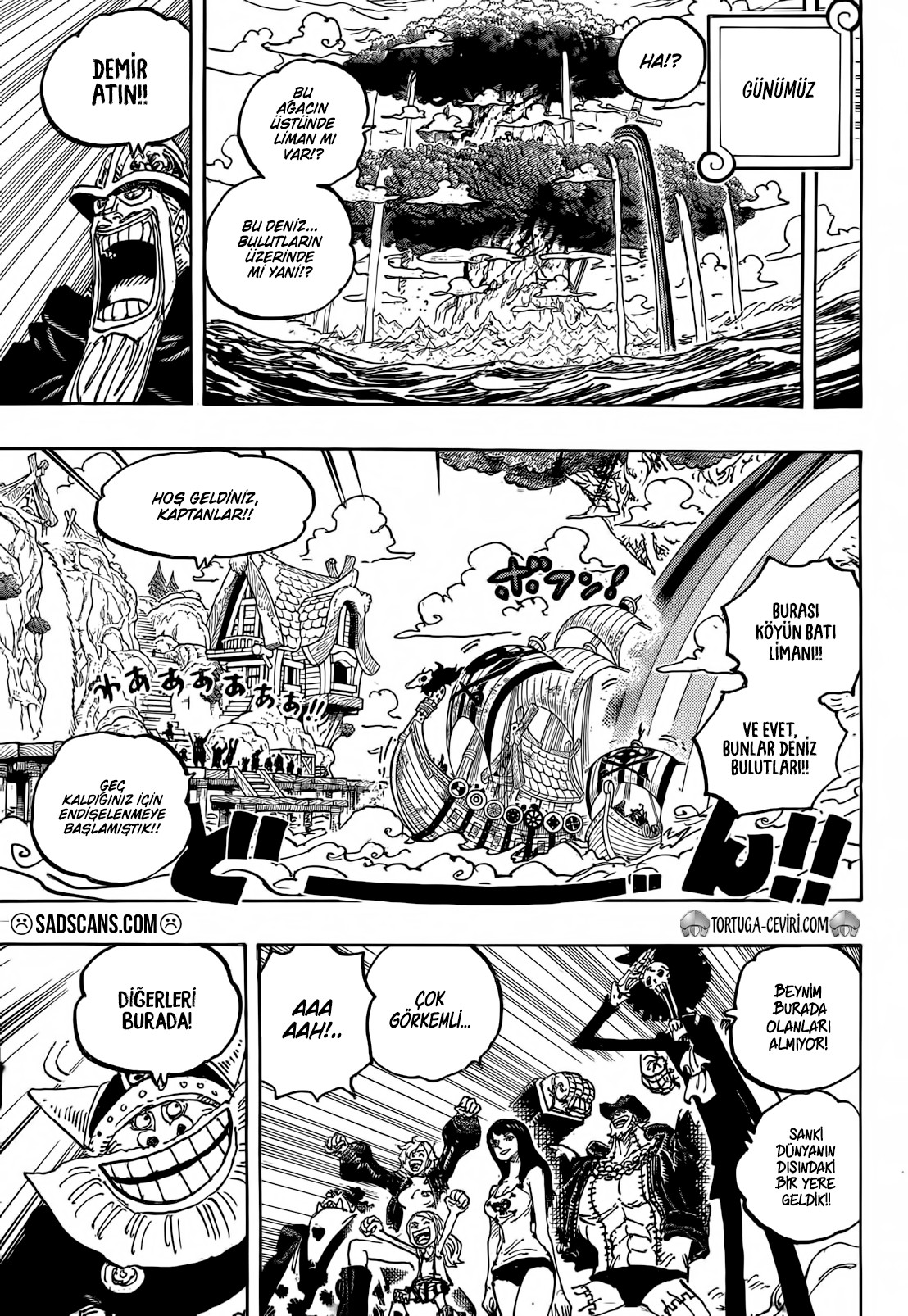 Read One Piece TR Manga Online