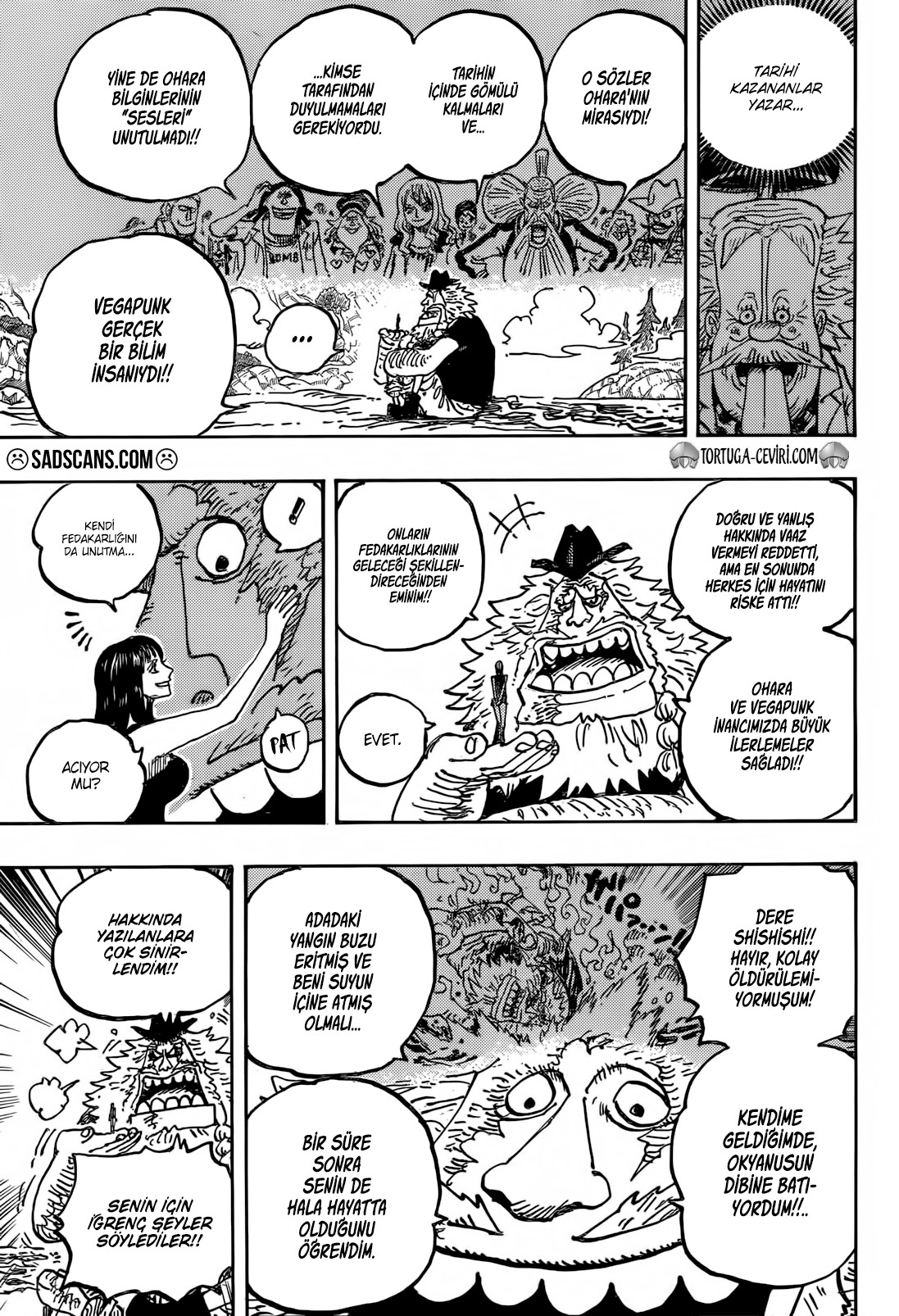 Read One Piece TR Manga Online