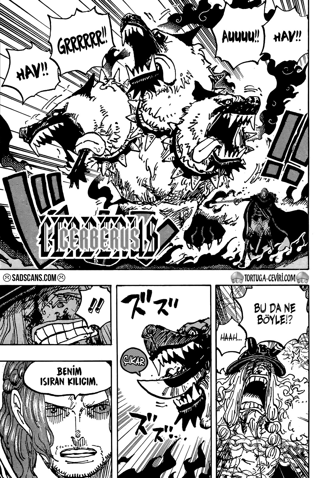Read One Piece TR Manga Online