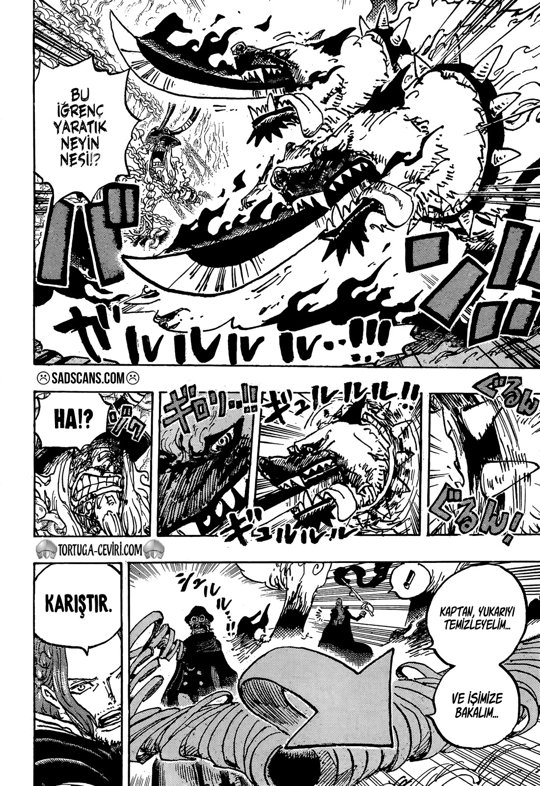 Read One Piece TR Manga Online