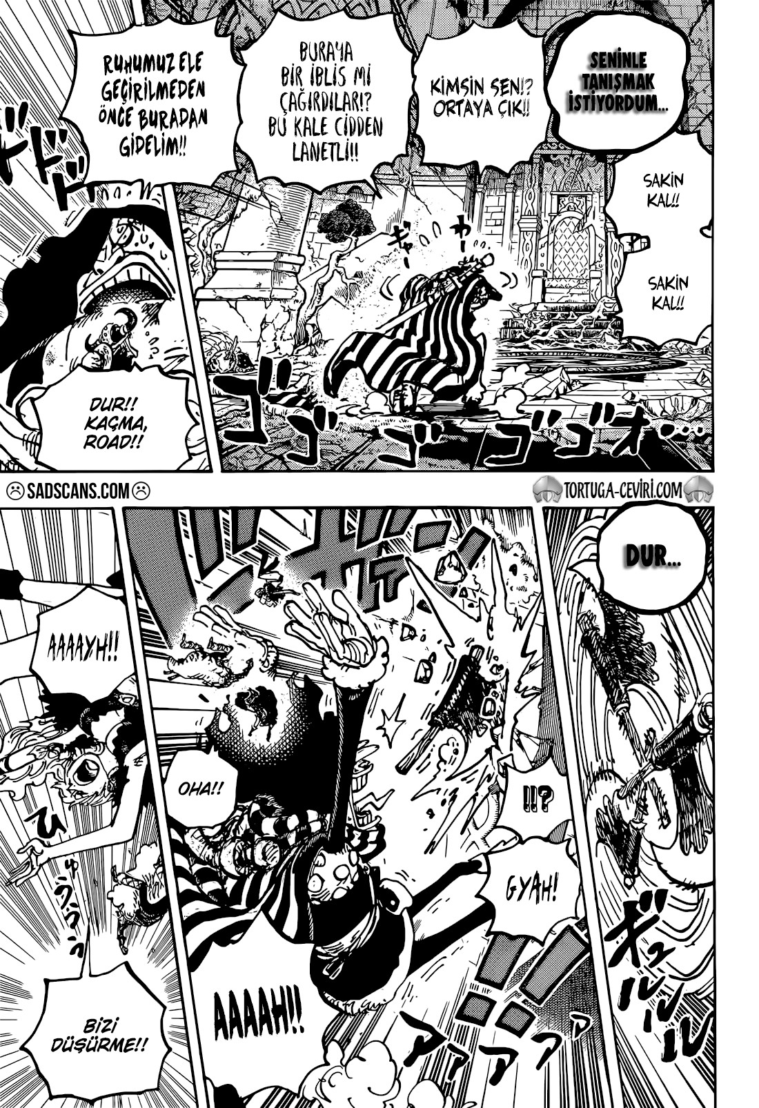 Read One Piece TR Manga Online