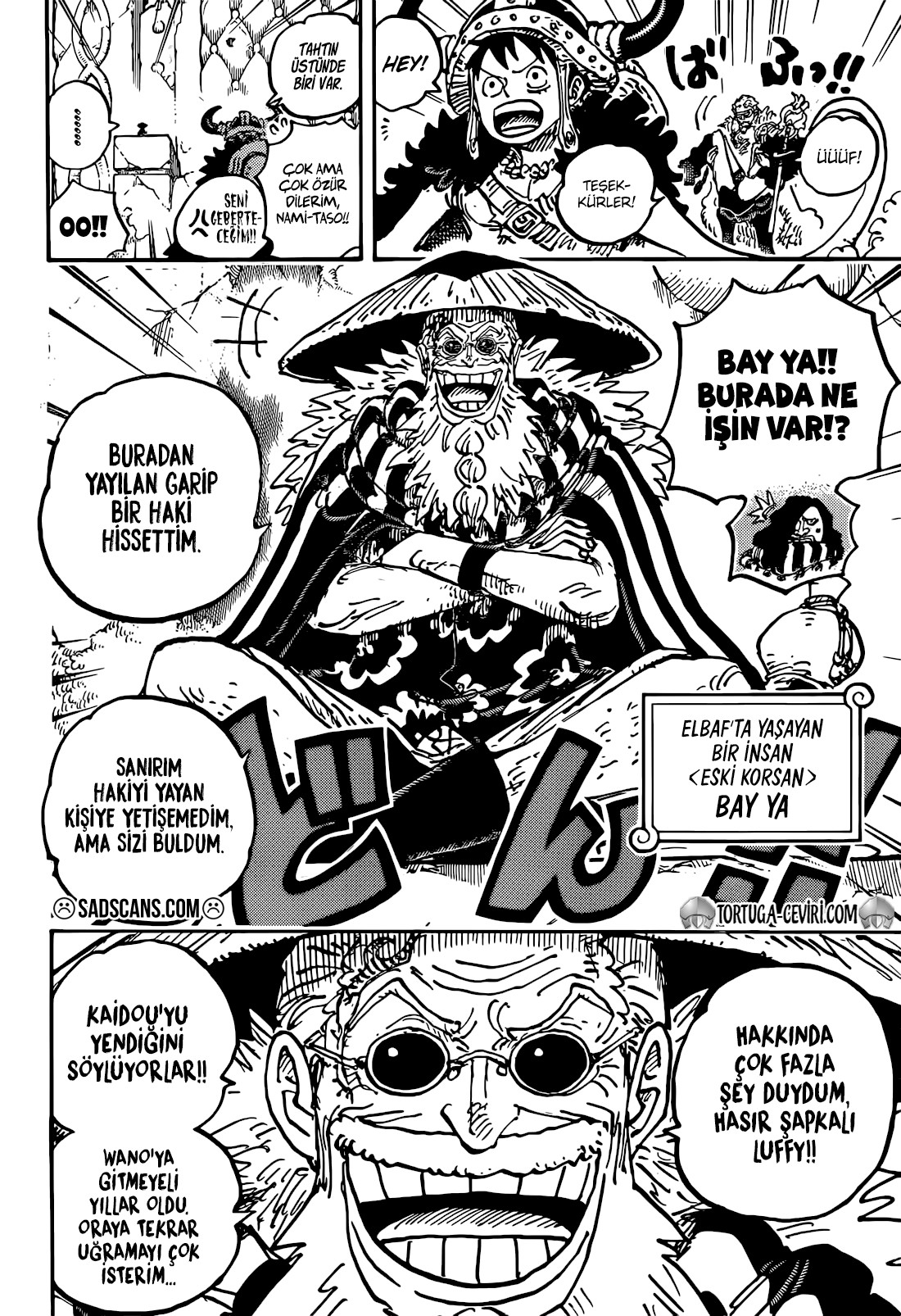 Read One Piece TR Manga Online
