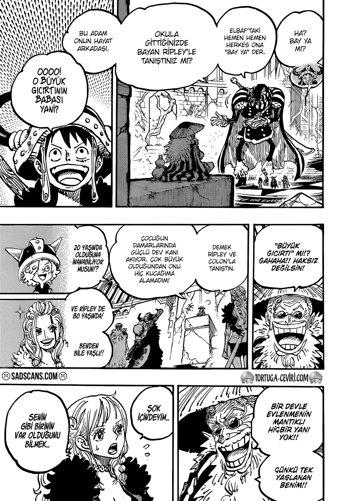 Read One Piece TR Manga Online